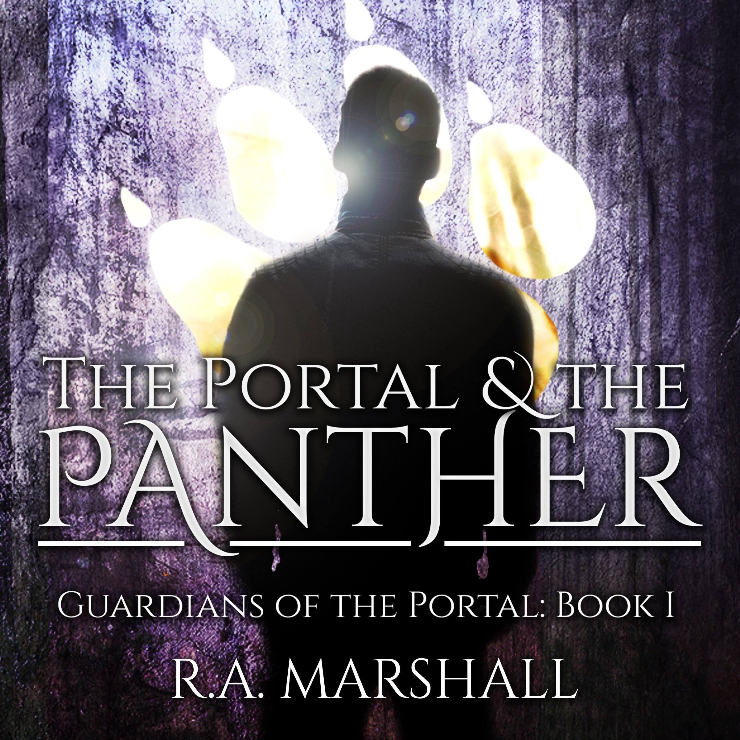 Cover art for The Portal and the Panther