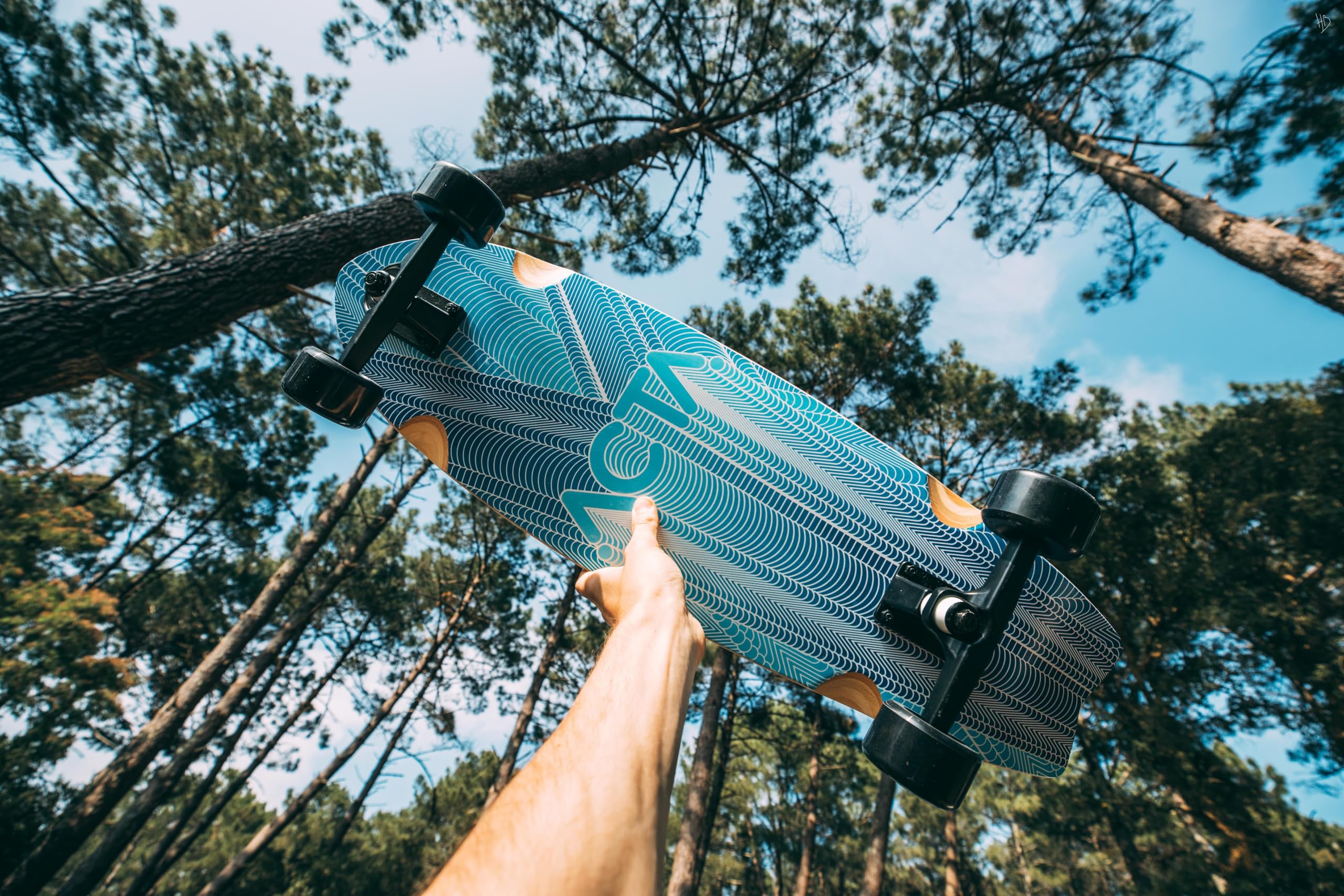 ACTA Surfskate Timber 31" Bois Naturel Planche de Surf-Skate en érable 7 Plis pour Pumptrack, Cruising et Carving Urbain
