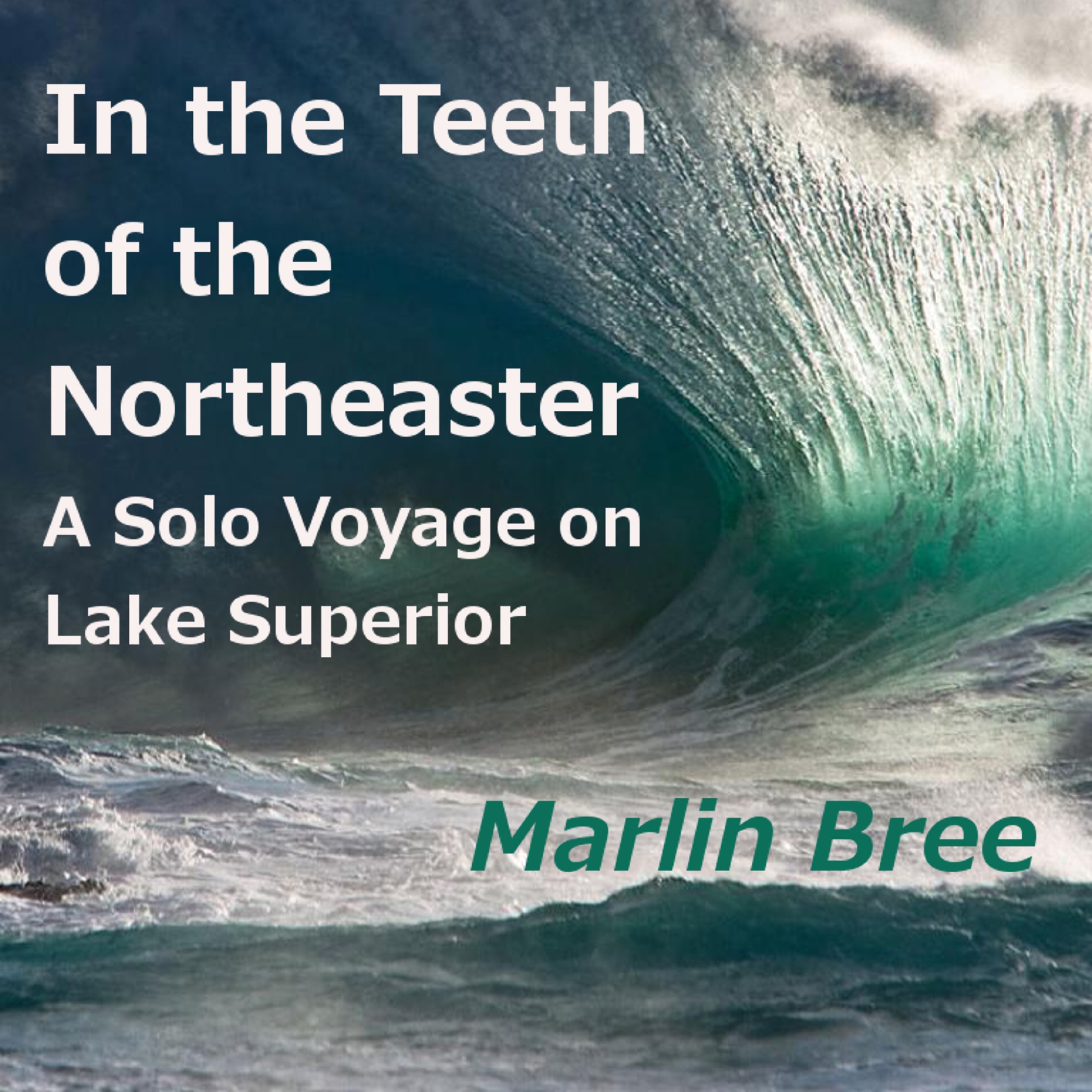 Cover art for In the Teeth of the Northeaster