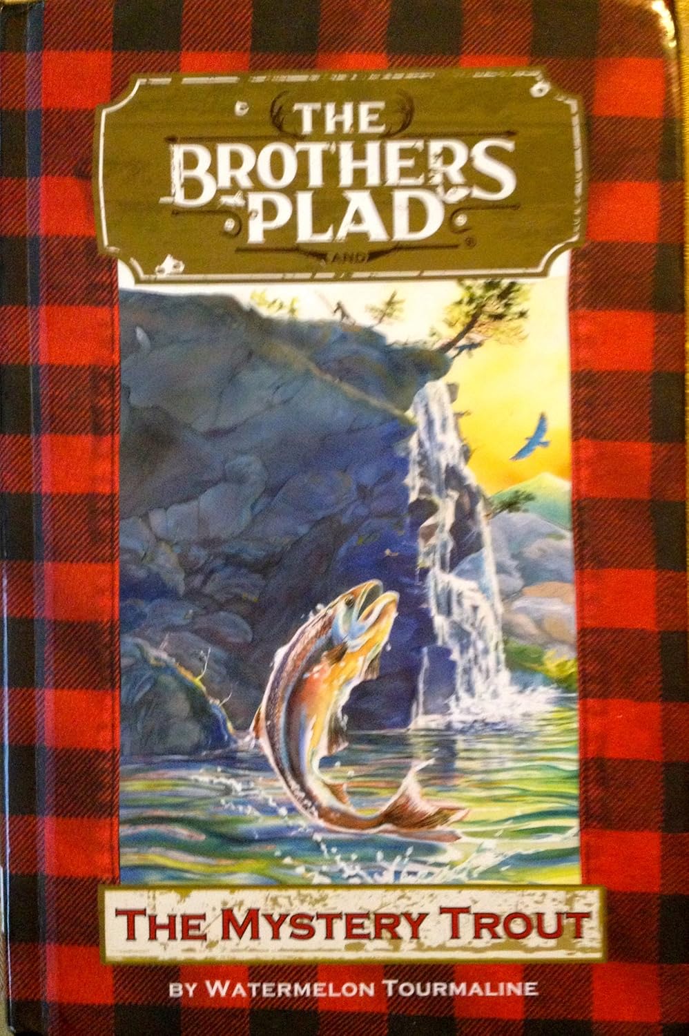 The Brothers Plad the Mystery Trout 9780983135104 Books Amazon.ca