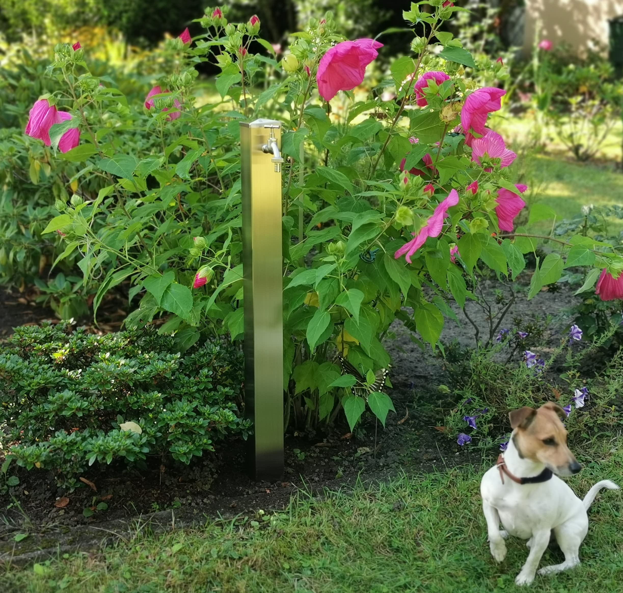 Wassersäule mit 2 Wasserhähnen Edelstahl 3/4" Zoll 80cm Wasserzapfstelle
