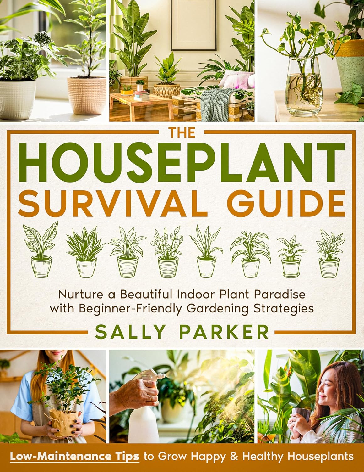 ADHD FRIENDLY HOUSEPLANT SURVIVAL GUIDE 45 TIPS FOR KEEPING YOUR visual data 6