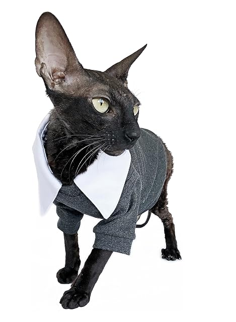Ropa Gato Jersey Sphynx Gatito Grey Suit Cálido Sin Pelo Invierno Pet (L)