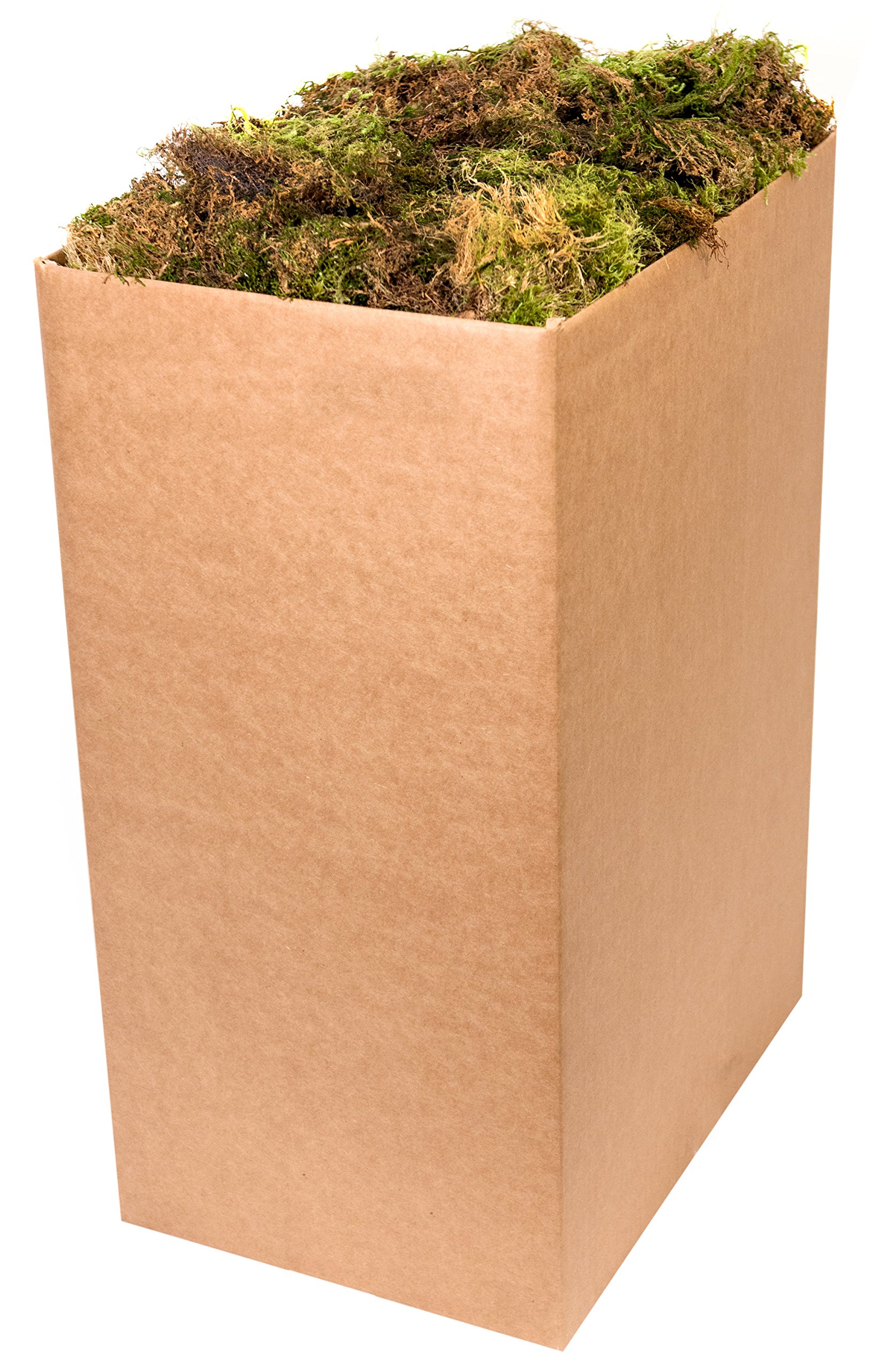 SuperMoss (21704) Forest Moss Dried, Natural, 10lbs