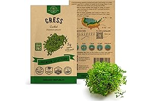 Curled Cress Seeds Pack 5G
