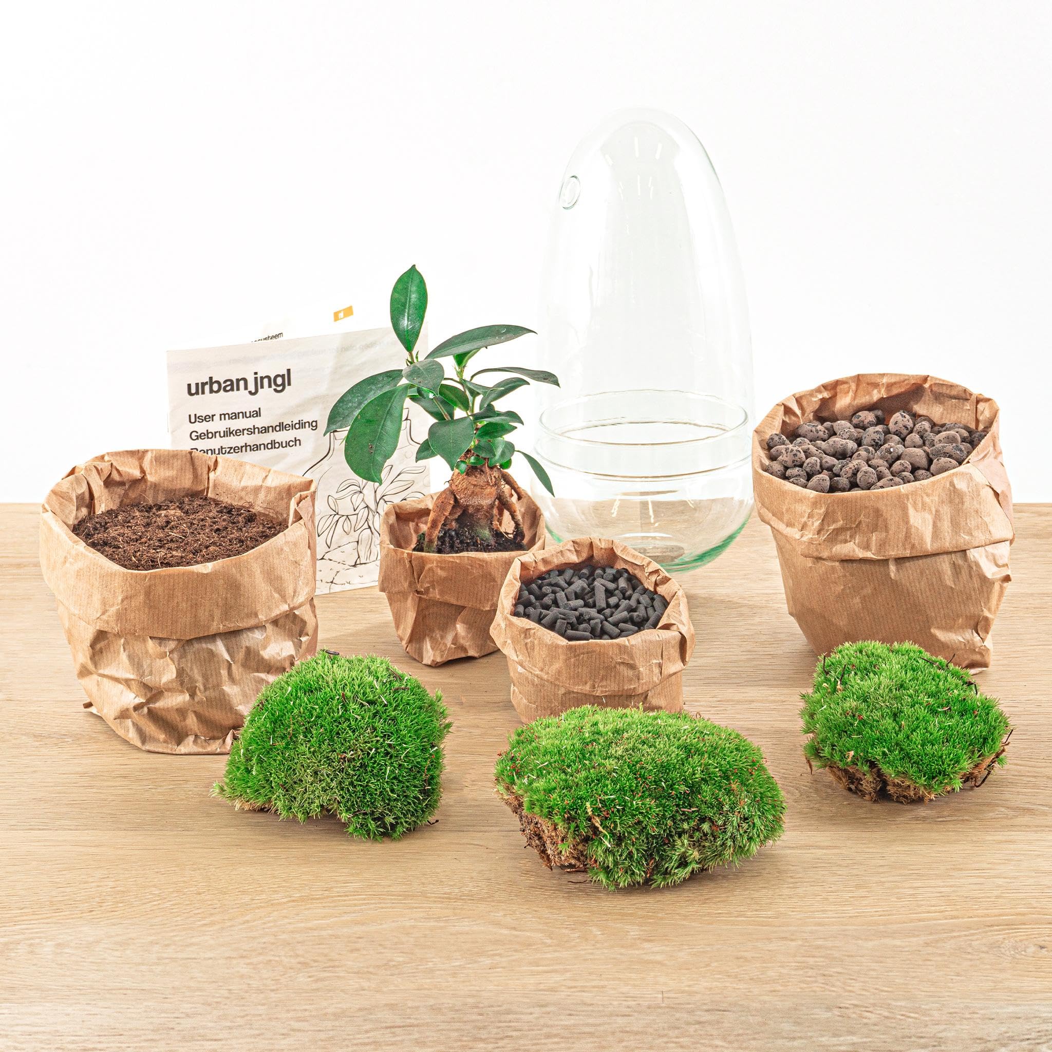 Terrarium végétal Egg Bonsai 25 cm Jardin en Bouteille Kit de Bricolage Ensemble Complet Mini écosystème avec Plantes