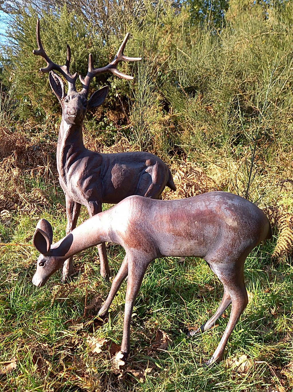 Extra Large Stag and Doe Deer Sculptures - Cast Aluminium Garden Ornaments - Bronze Effect Finish