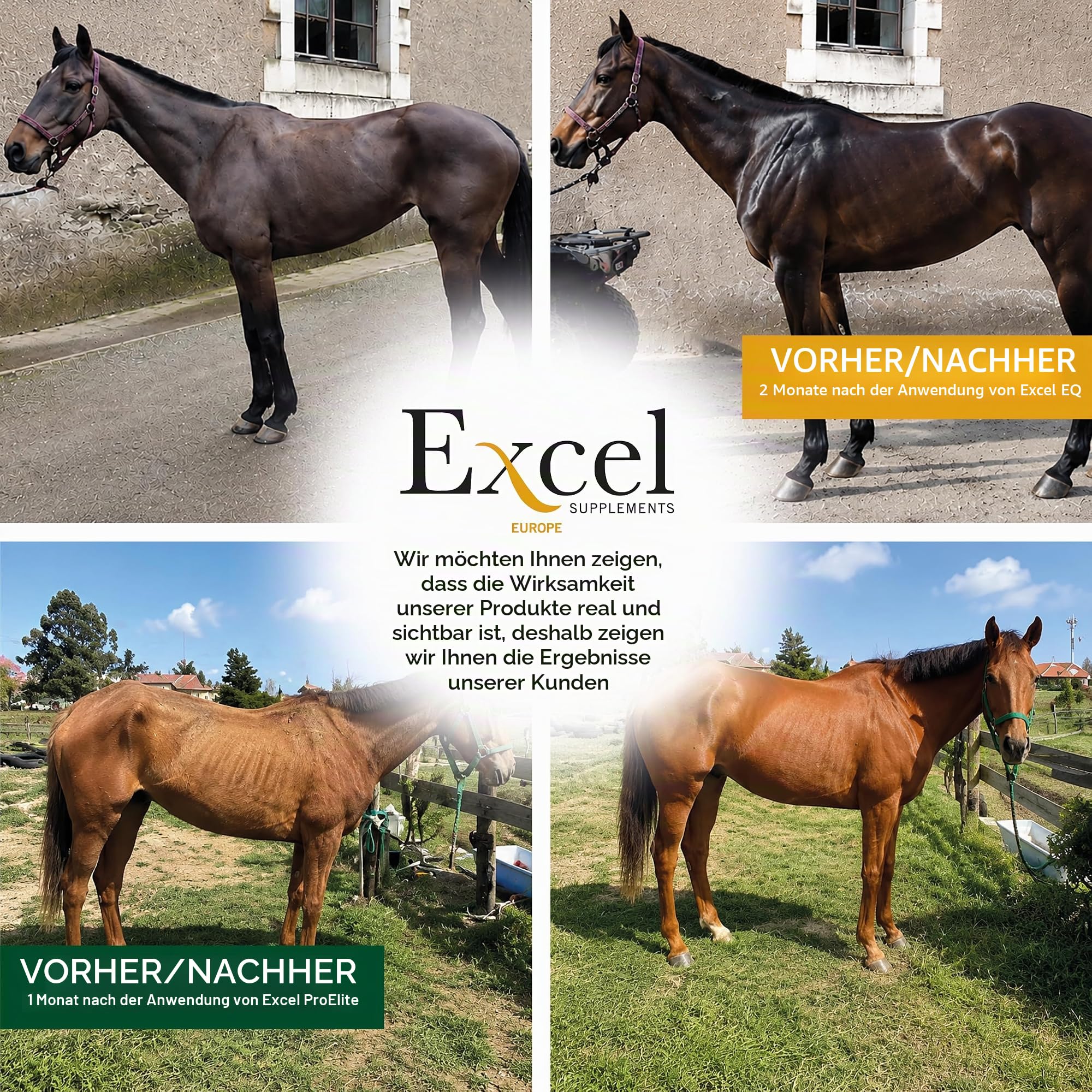5L Excel EQ Pferdefutteröl - Pferdefuttersupplement - Omega-3-Kamelinaöl mit entzündungshemmender Wirkung für natürlichen Glanz und Pflege des Pferdefells
