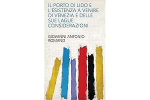 Lido e : L'esistenza a venire di Venezia e delle sue lague