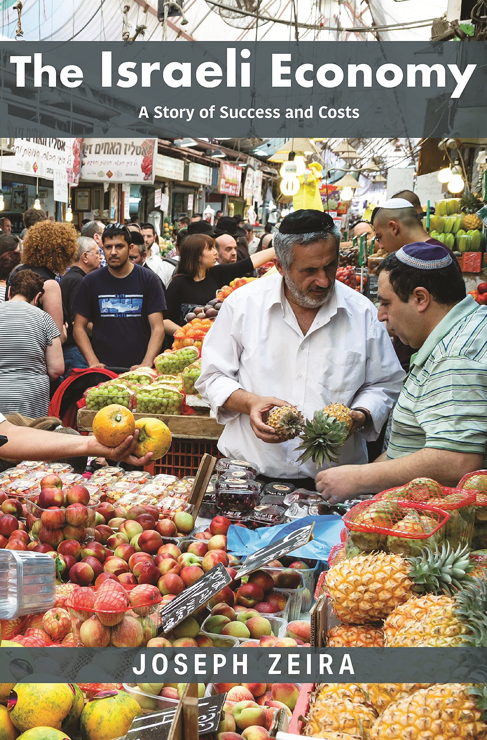 The Israeli Economy: A Story of Success and Costs (The Princeton Economic History of the Western World)