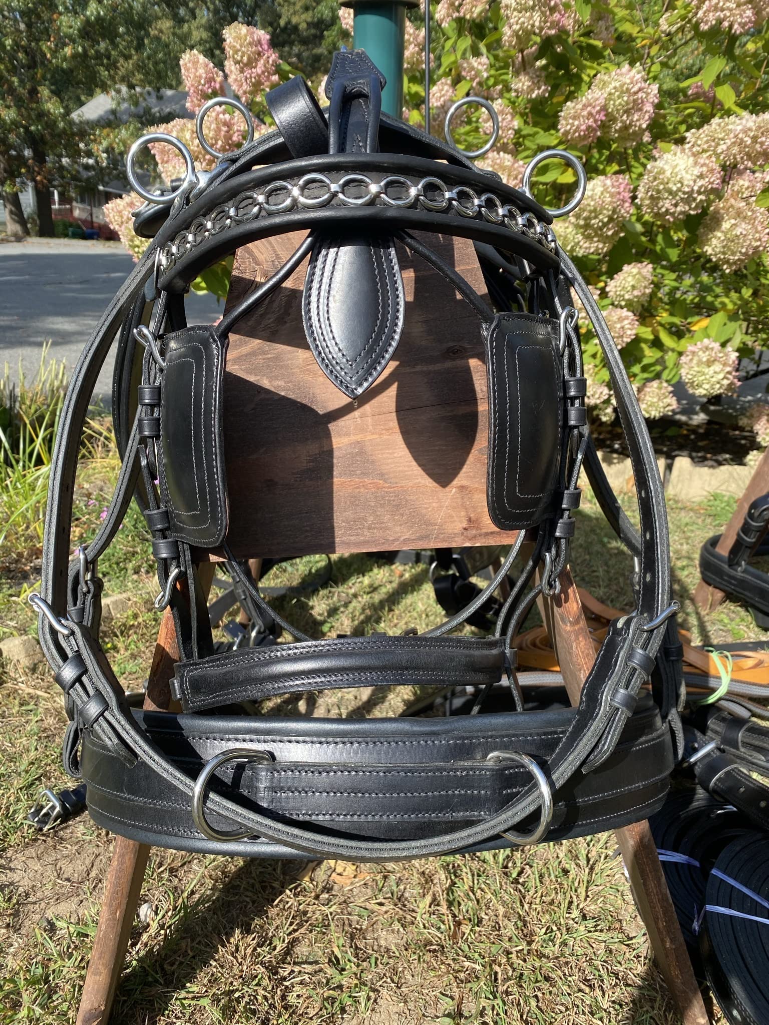 Leaders Leather Marathon Harness for Full or Horse Size - Pair