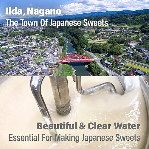 Vista 37 de YAMASAN KYOTO UJI Jelly Fruit Mochi, caramelo tradicional japonés, envuelto individualmente, trabajos artesanales, 100% ciruela Ume japonesa, 10.58