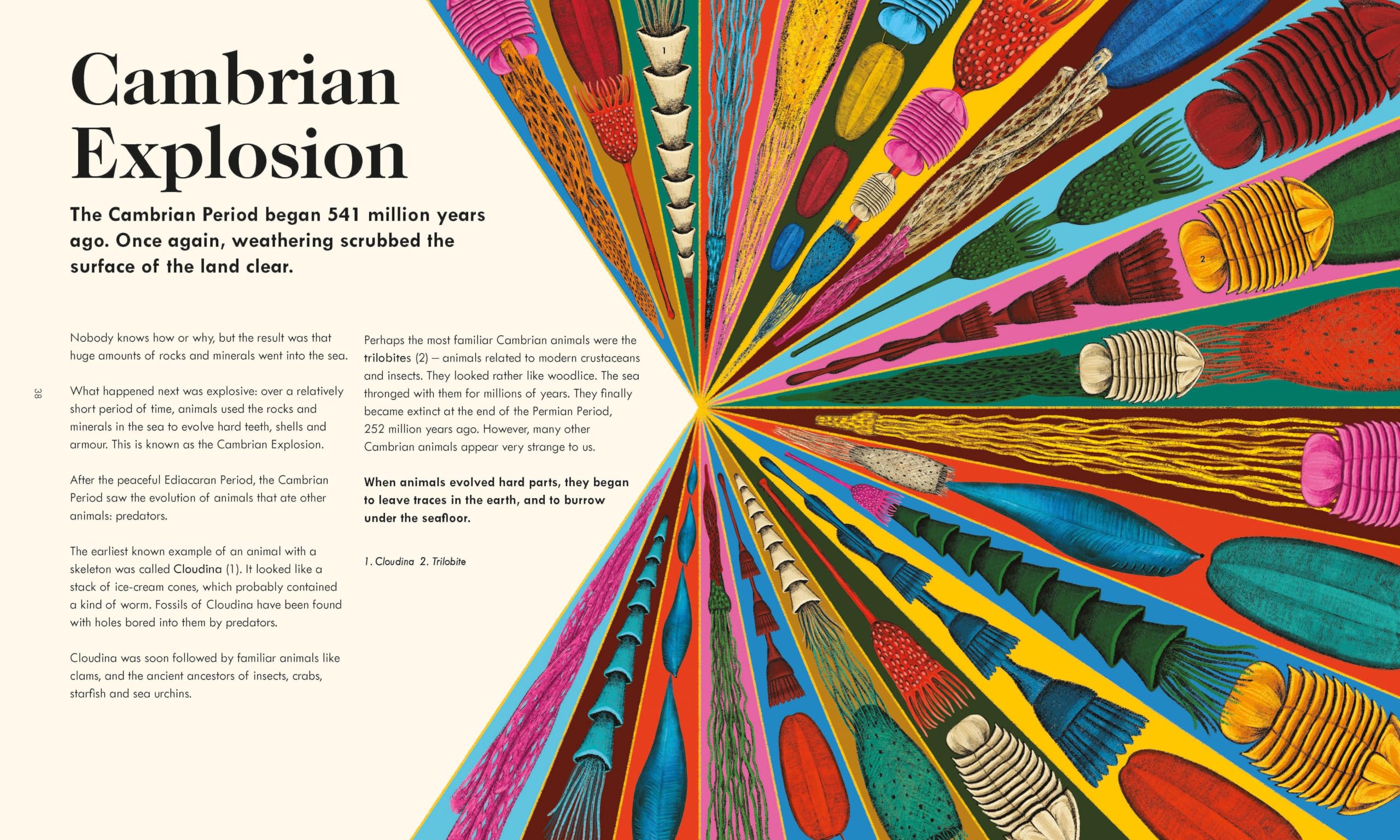 The Wonder of Life on Earth: A beautifully illustrated story of our planet, evolution and you, by the winner of the Royal Society Science Book Prize