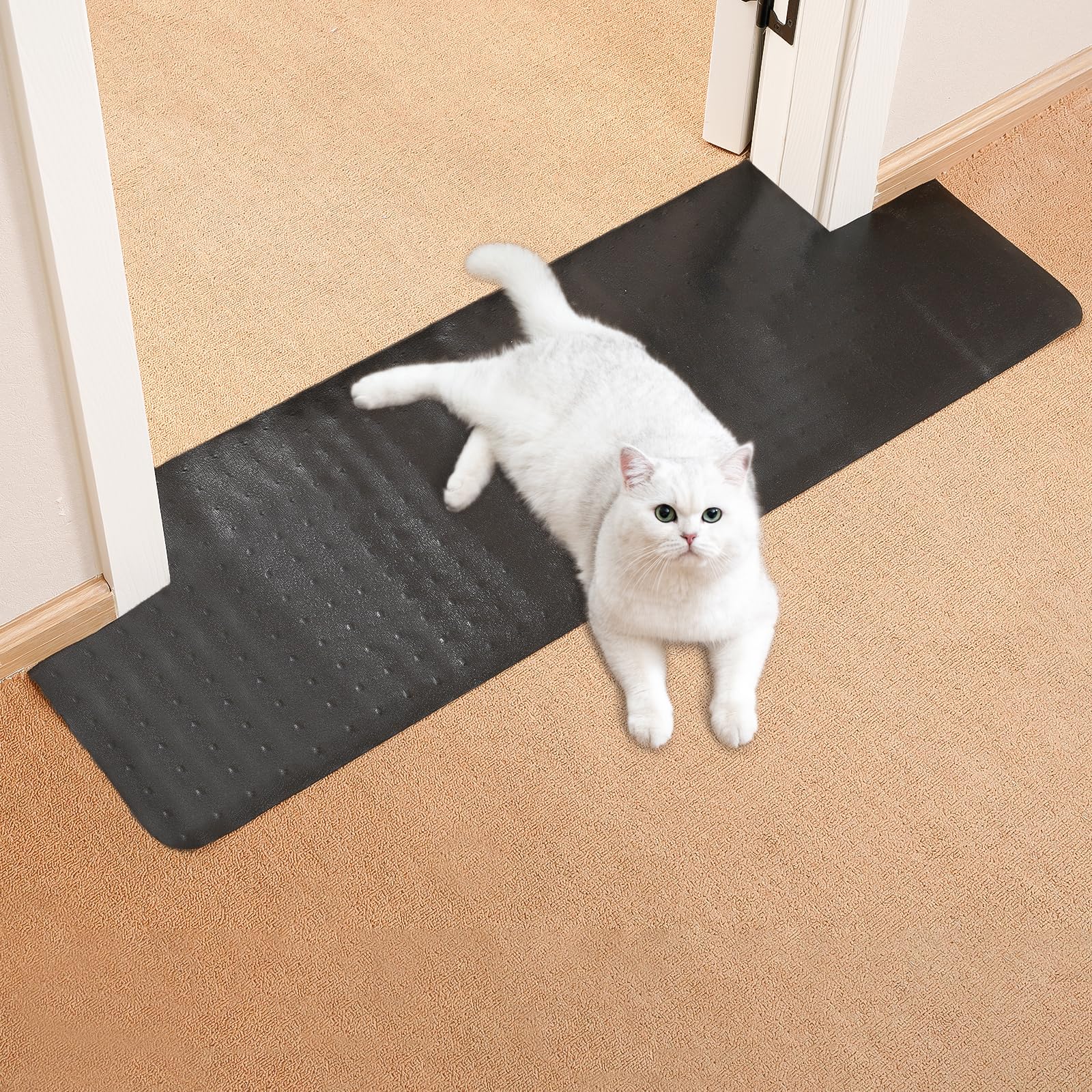 Uross Carpet Protector for Pets -3.6FT Black Round Corner Plastic Under Door Cat Carpet Protector for Doorway, Anti Cat Scratch Carpet Protector Mat,