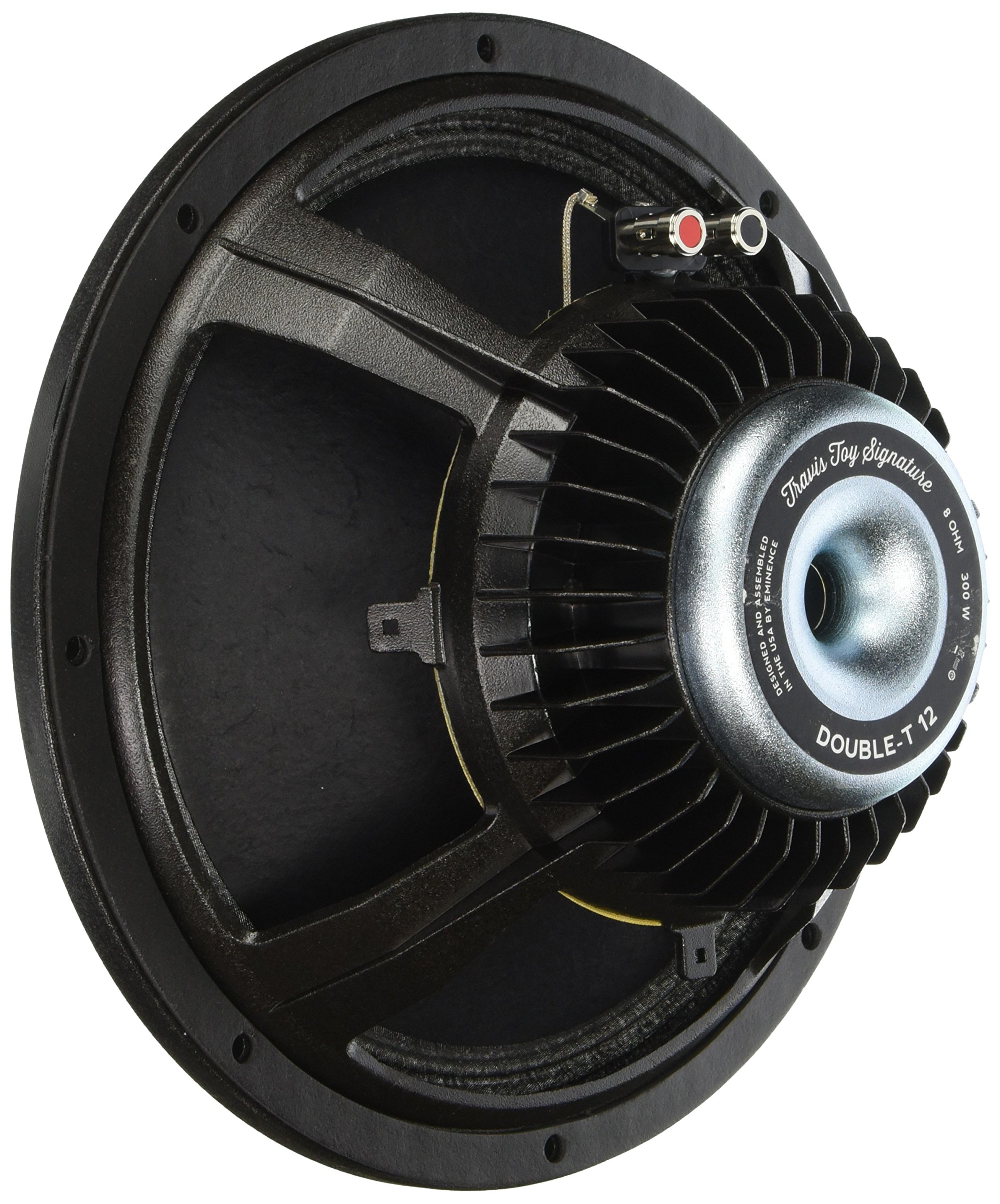 Amazon.com: Eminence Double-T 12 Travis Toy Signature Speaker - 12