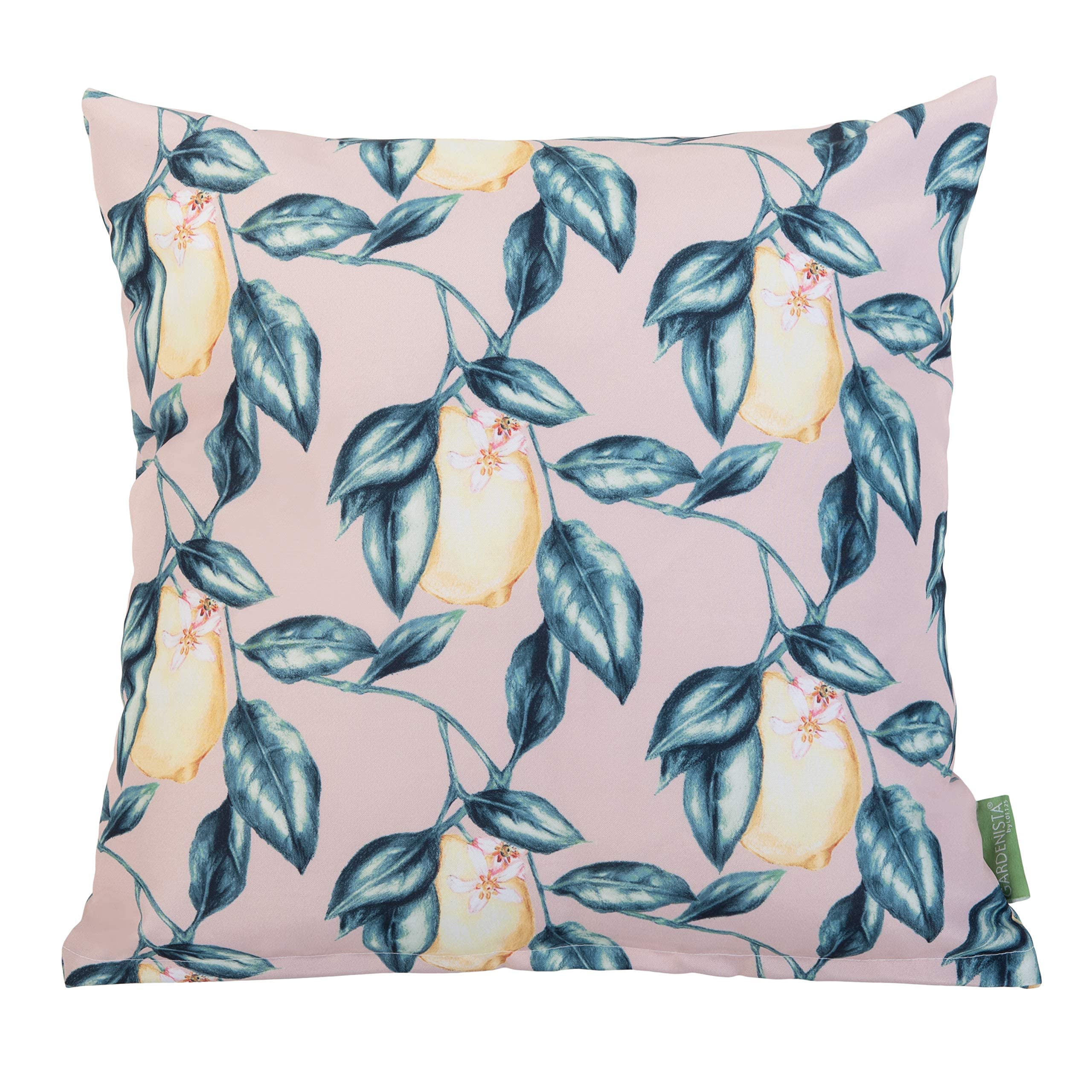 Gardenista Garden Decorative Scatter Cushion | Indoor Water Resistant Outdoor Printed Cushions 45x45 cm | Soft Hollowfibre Filled Patio Furniture Pillow | Easy to Clean Cushions (Lemon Pink Small)