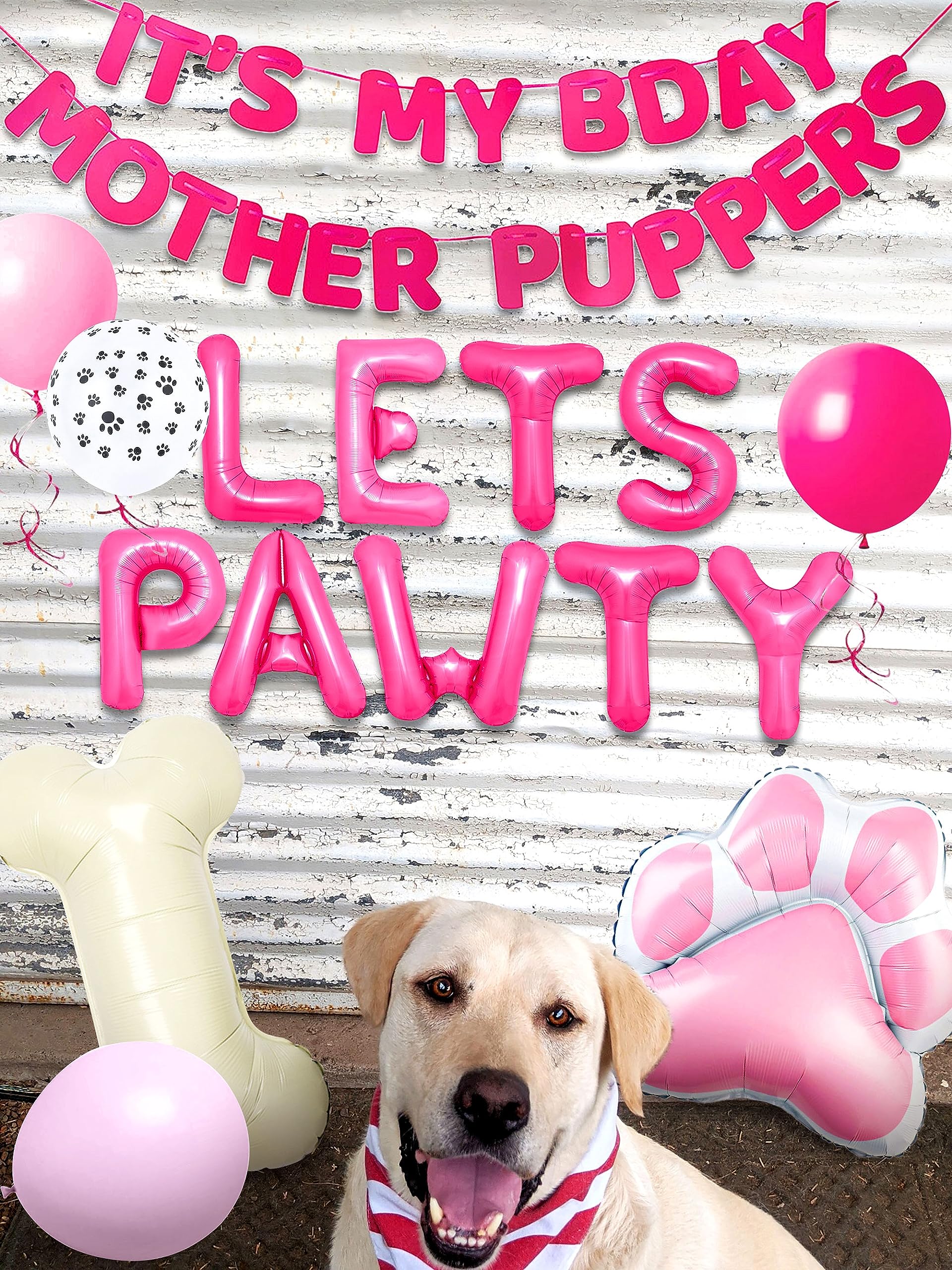 LaVenty Kit de guirlande de ballons pour fête d'anniversaire pour chien - Décorations de fête pour chiot - Fournitures de fête d'anniversaire pour chiot - Rose LaVenty Kit de guirlande de ballons pour fête d'anniversaire pour chien - Décorations de fête pour chiot - Fournitures de fête d'anniversaire pour chiot - Rose