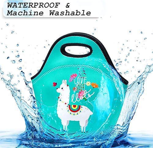 Miniatura 4 de YOUBDM Bolsas de almuerzo de neopreno con aislamiento térmico, bolsa de almuerzo reutilizable, lavable, bolsa de picnic de neopreno para mujeres y