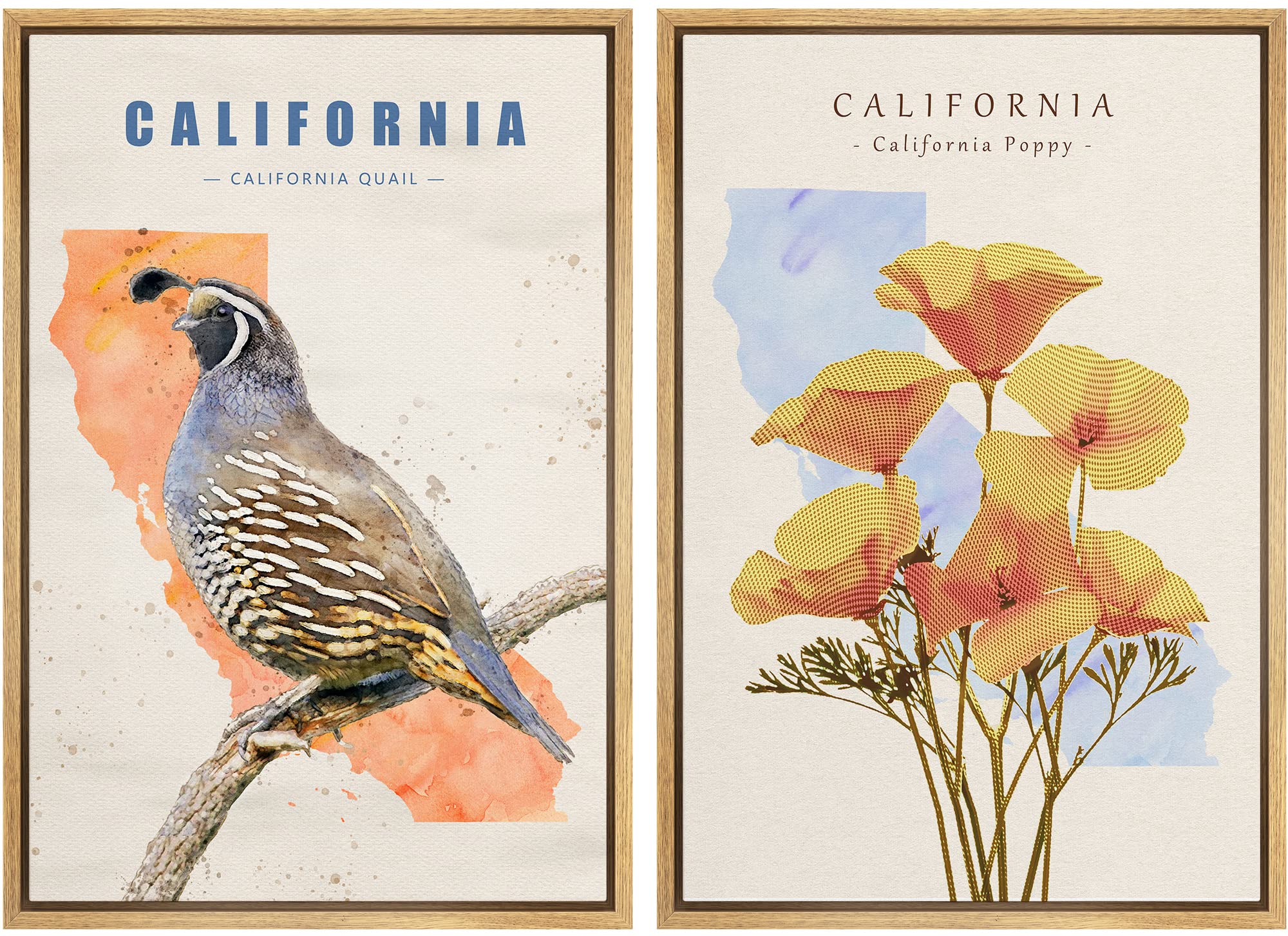 IDEA4WALL Framed Canvas Print Wall Art California Quail & Poppy Duo Birds Flower Watercolor Realism Rustic Colorful Multicolor Warm for Living Room,