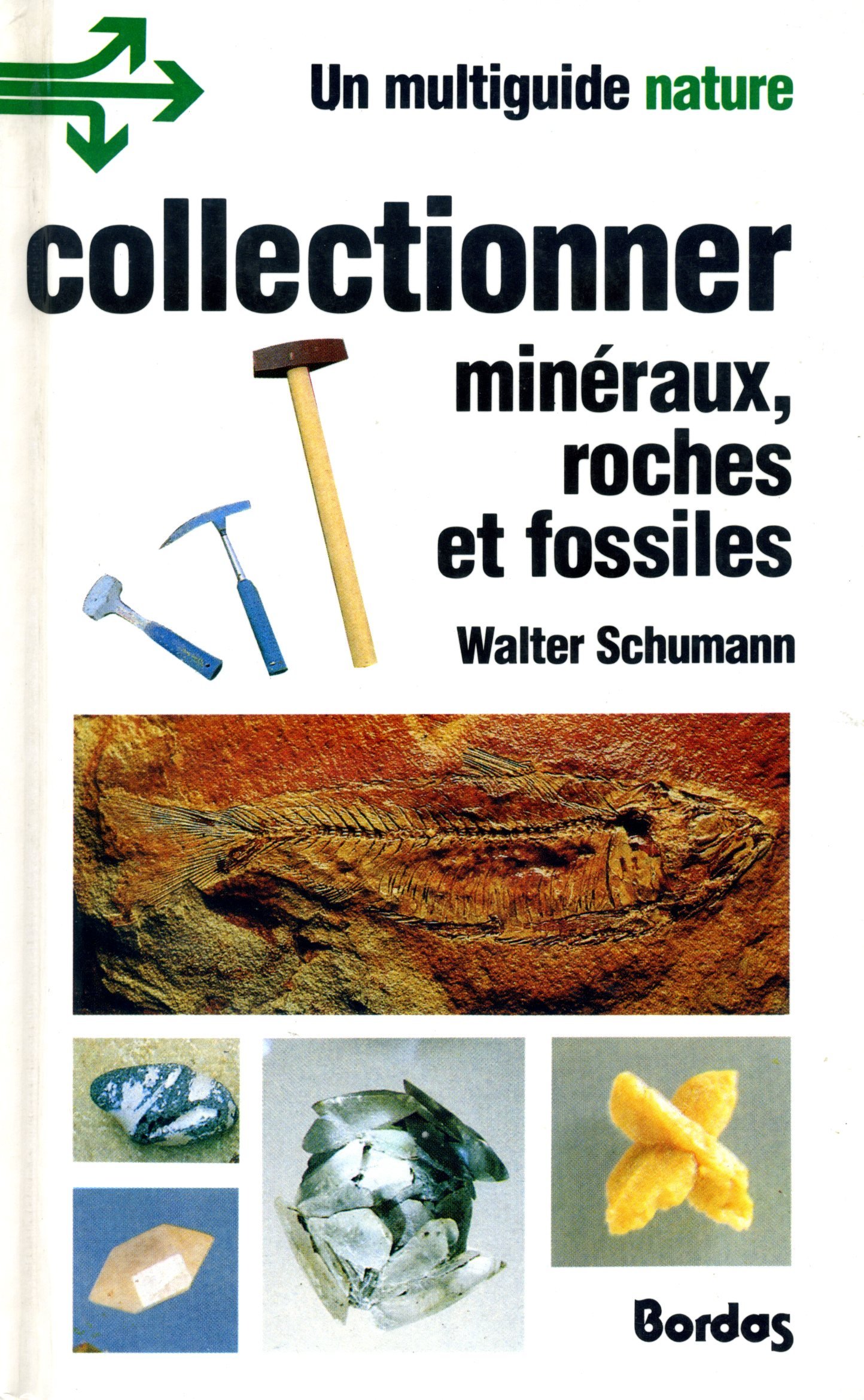 Roches Et Fossiles