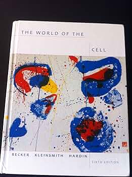 917PVb67JOL._AC_UF350,