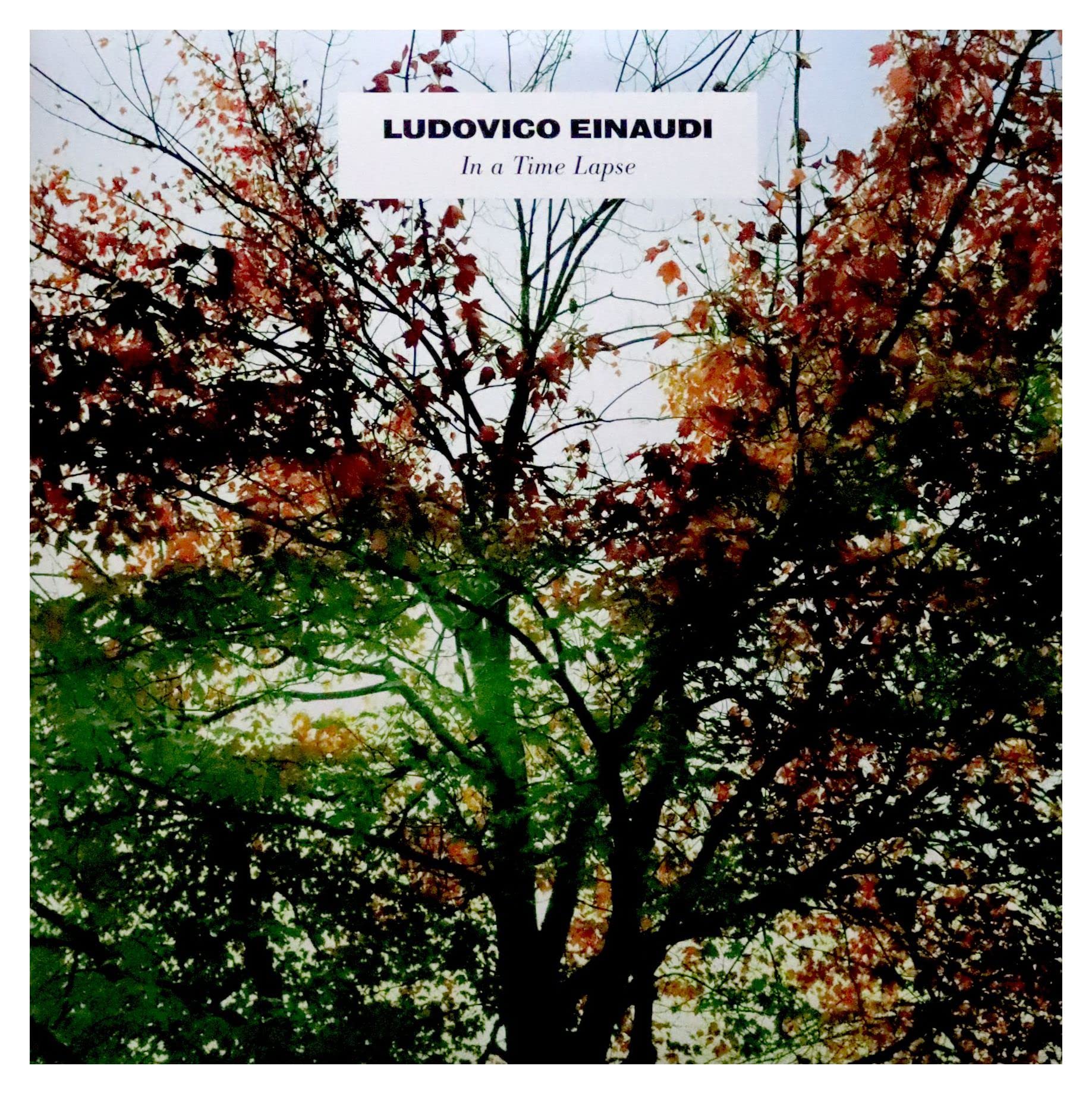 Ludovico Einaudi: In A Time Lapse [VINYL]