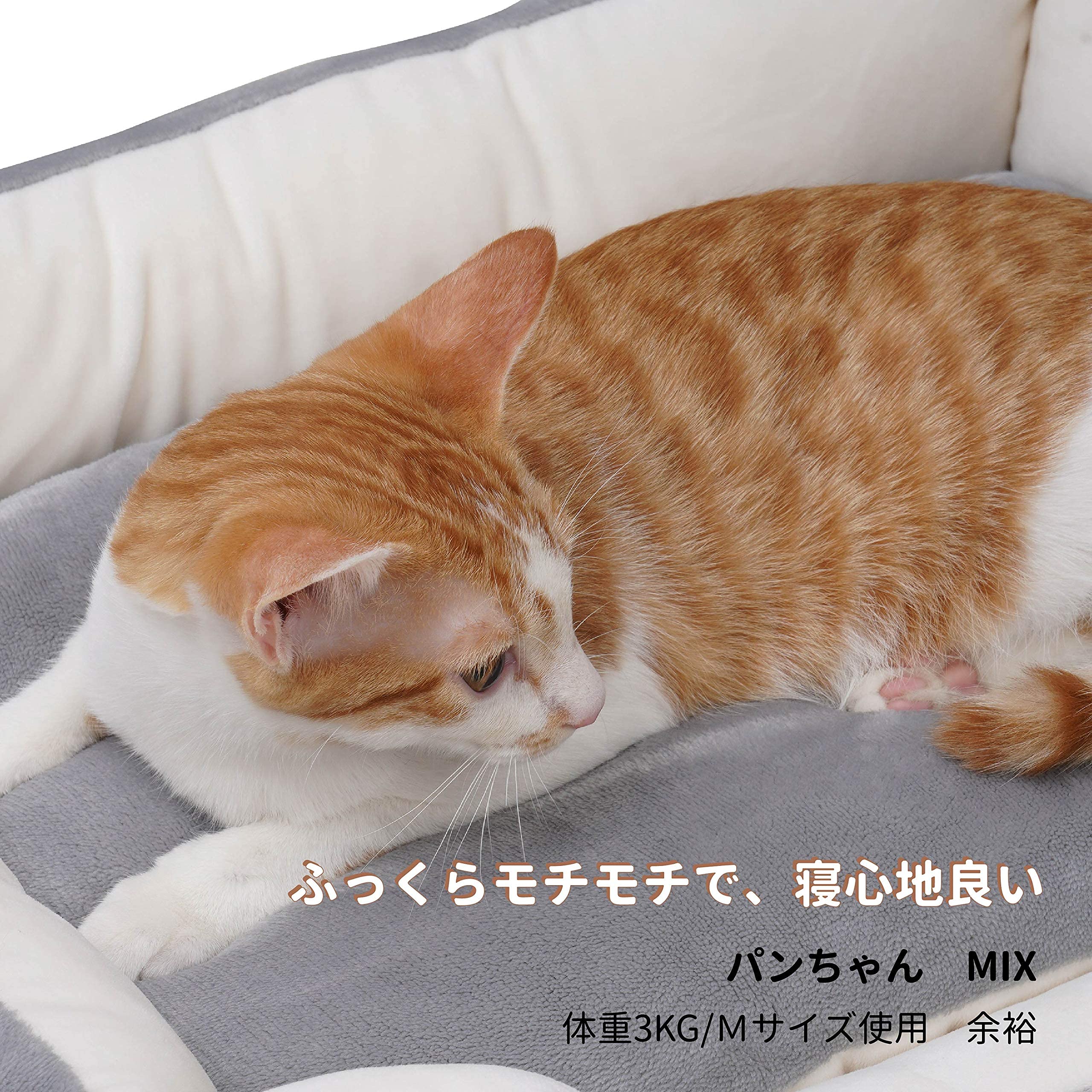 Amazon | PEOPLE&PETS ペットベッド 通年 オールシーズン ふみふみ猫