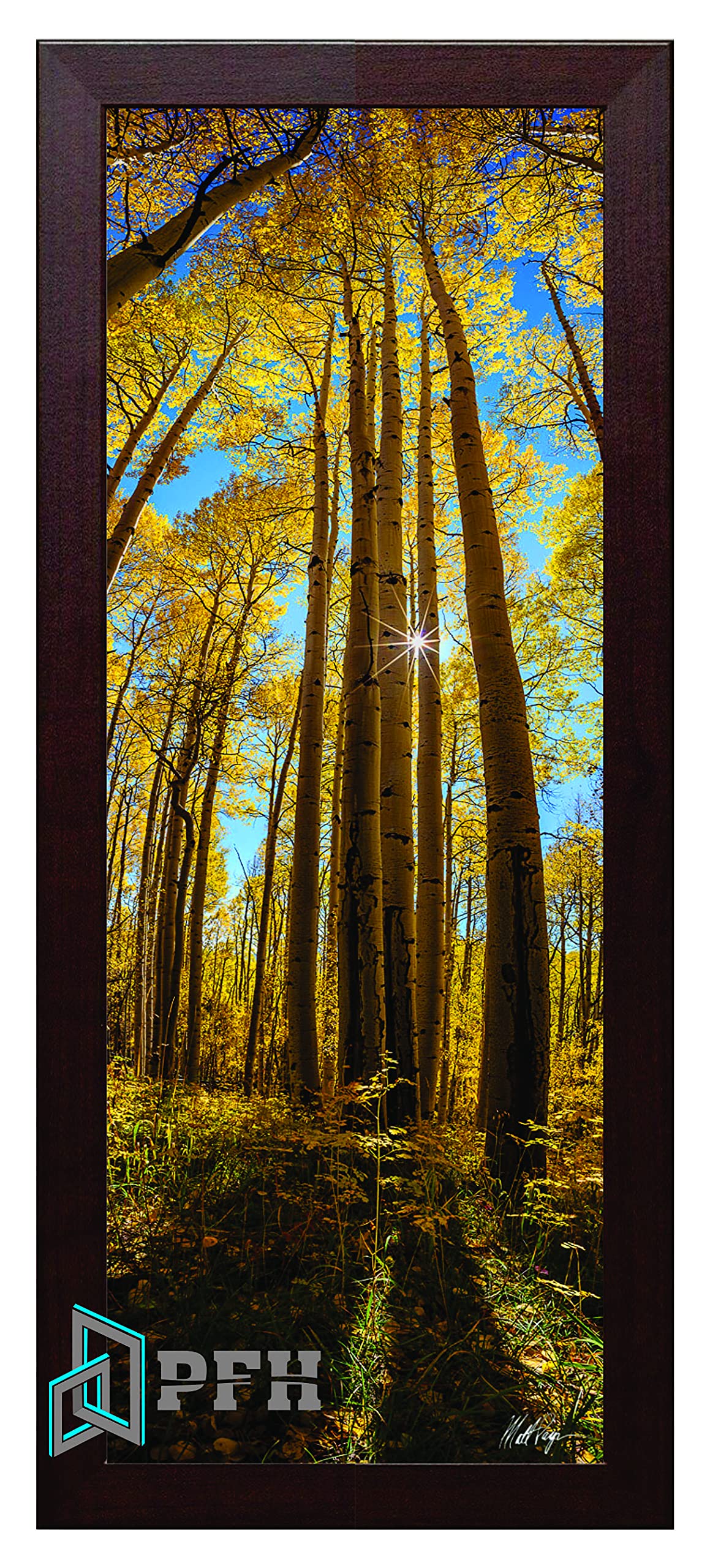 Photo Frames Mahogany 50Cm X 25Cm Modern Flat Style Wood Picture Poster Frame Front Acrylic Glass