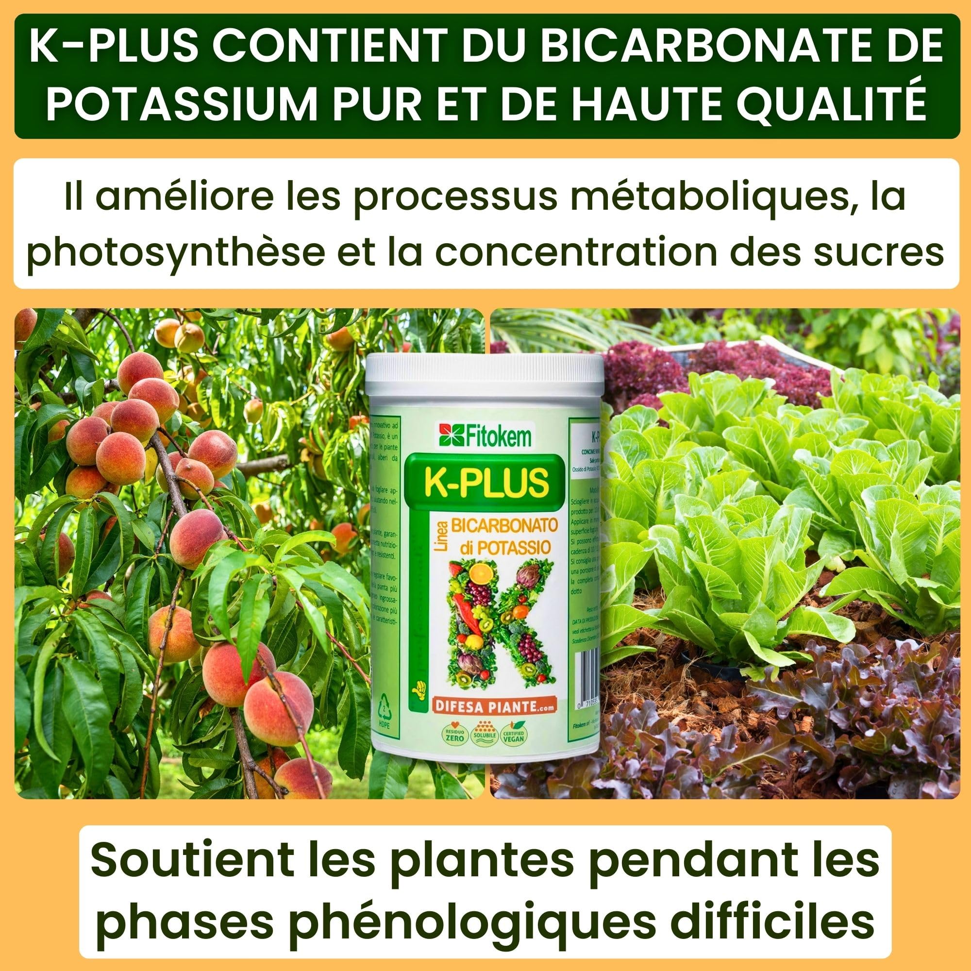 FITOKEM K-Plus 1KG - Engrais et Fertilisants Bicarbonate de Potassium Pur pour Plantes Intérieur et Exterieur et Agriculture, Engrais Universel Potasse Jardin, Potager, Arbres Fruitiers