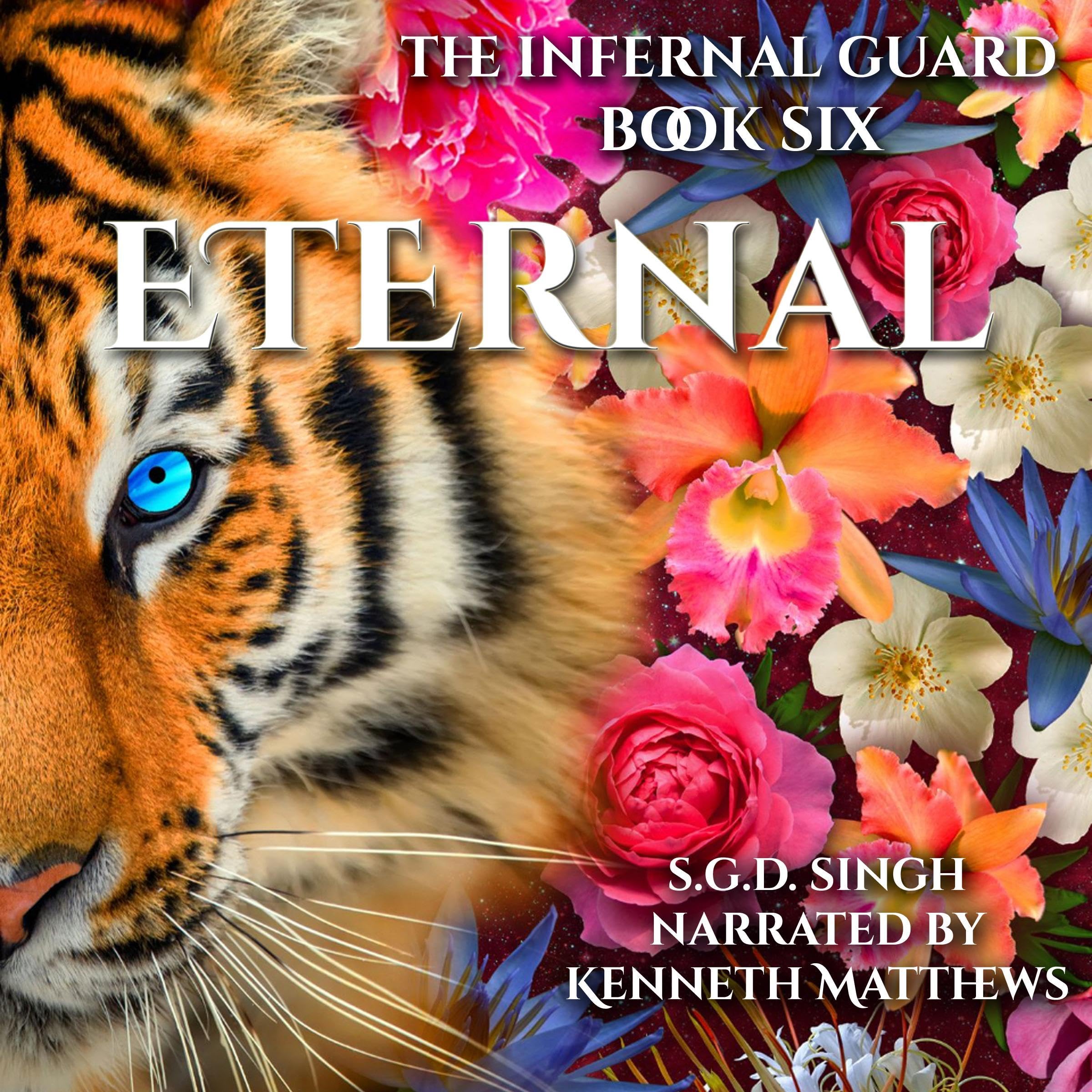 Cover art for Eternal: The Infernal Guard, Book 6