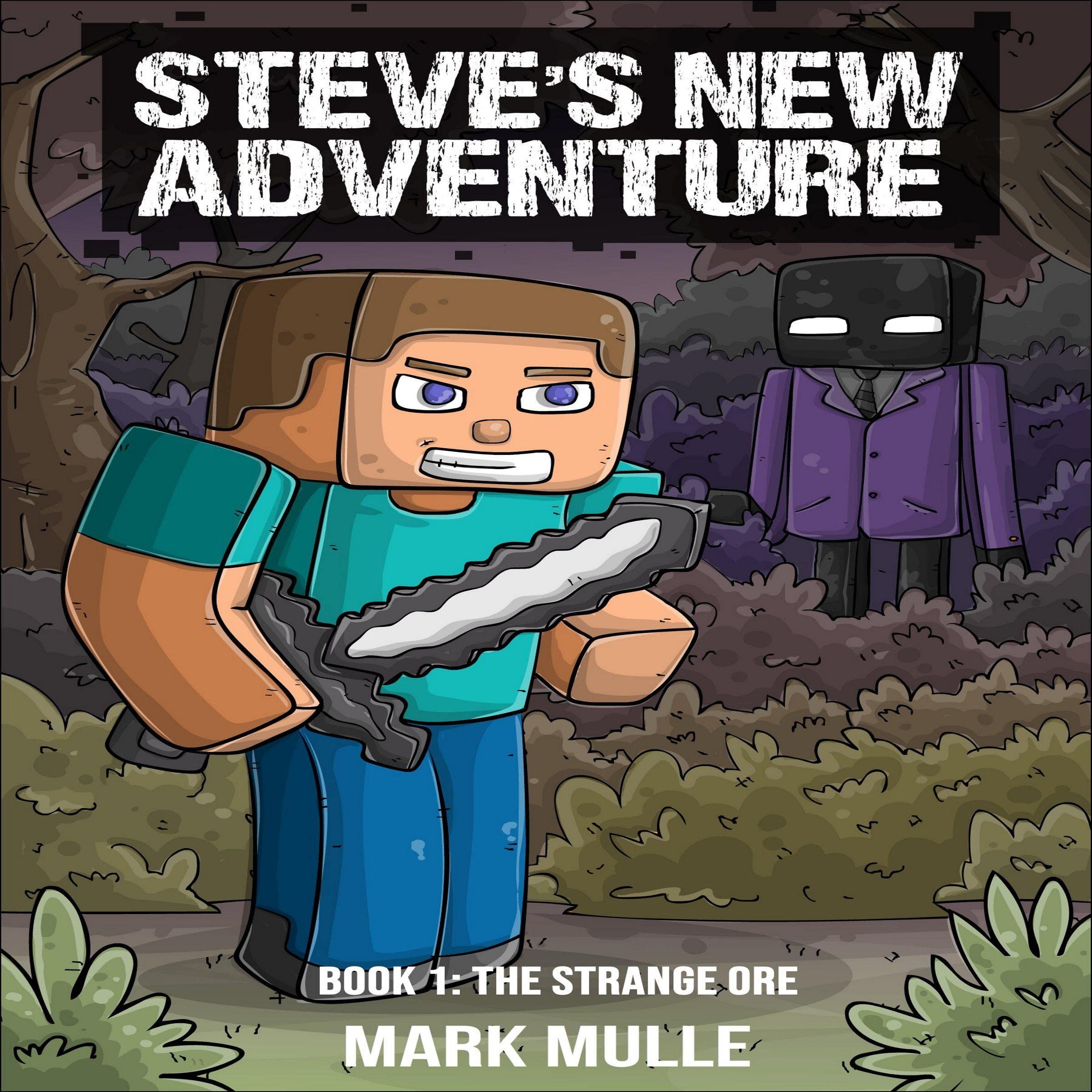 Cover art for Steve’s New Adventure, Book 1
