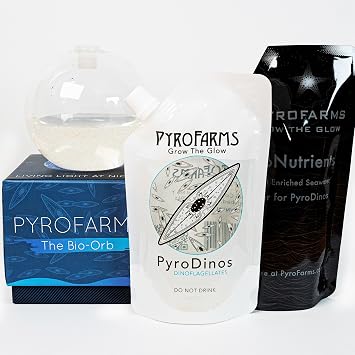 The Living Bioluminescent Bio-Orb - a Living Glass Sphere Powered by Ocean Plankton (PyroDinos)