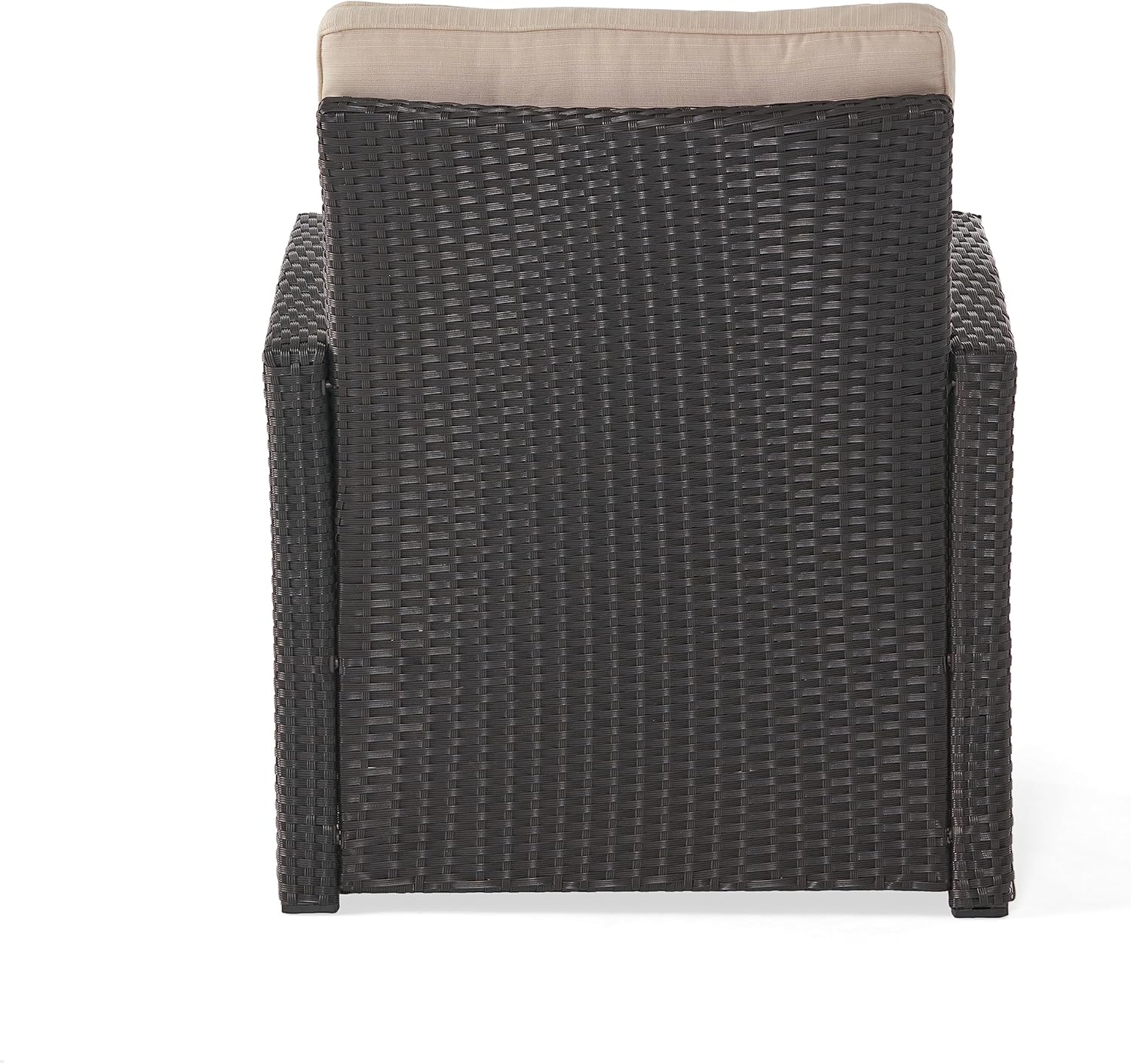 Christopher Knight Home Sanger Outdoor Club Chair with Cushions - Wicker - Dark Brown/Beige