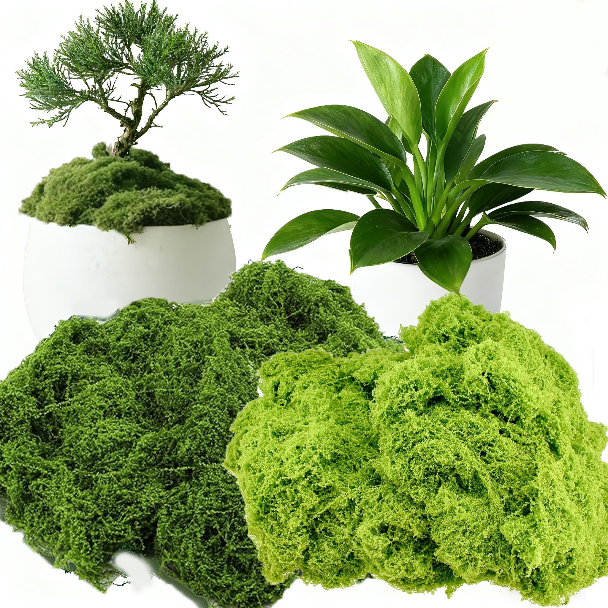 HanYun 200g Artificial Fake Moss Decorative, Fake Bulk Sphagnum Moss for Plant Garden Indoor Plant Pots, perfect for Floral Arrangements and DIY Decorations (Light Green and Green)
