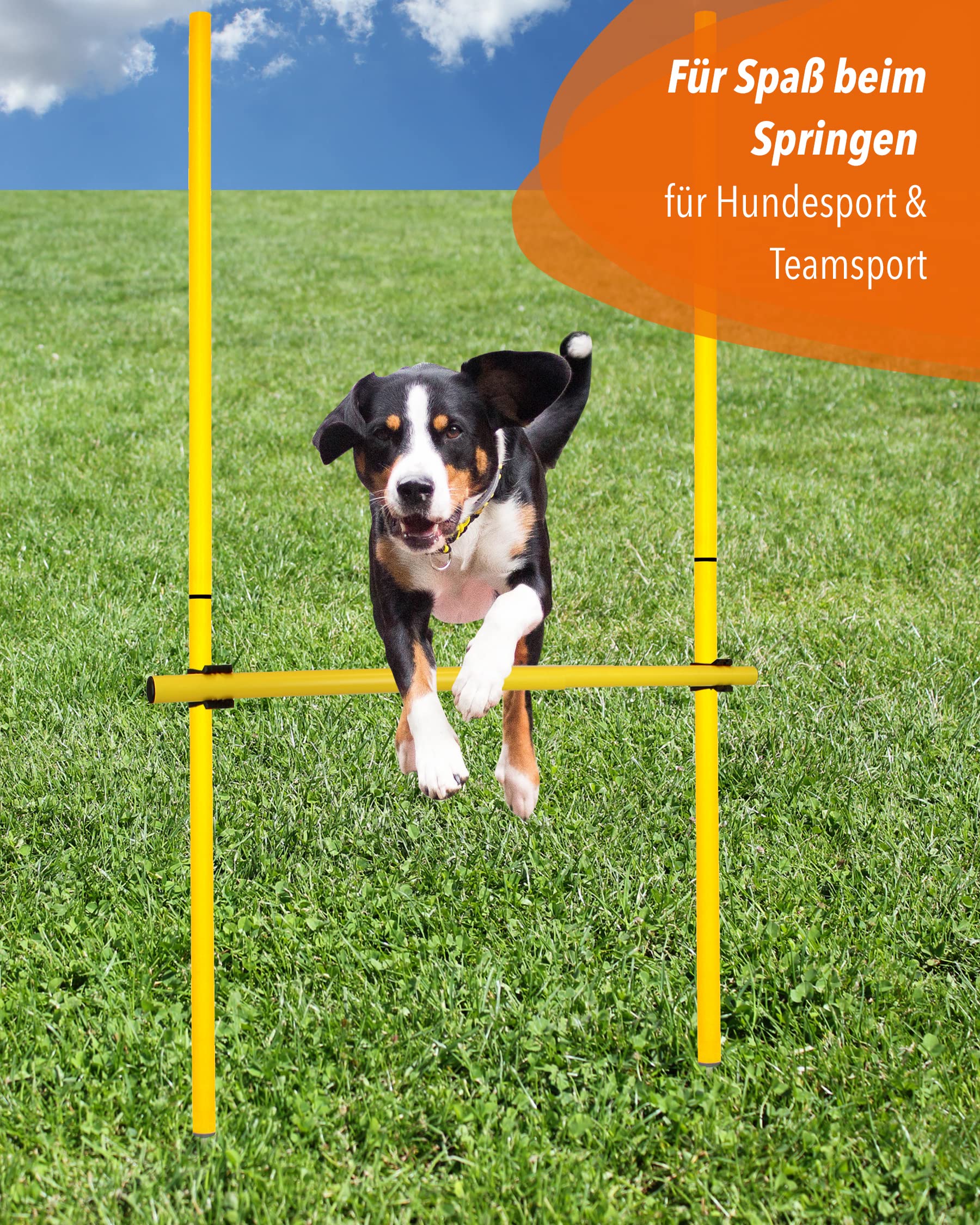 Hürdenset mit Slalomstangen 180 cm, ø 32 mm – Sprunghürde – Agility-Hürde für Fußball, Leichtathletik & Hundesport
