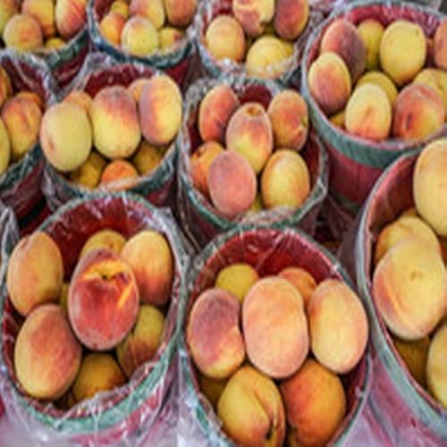 Garlic Mashed Potatoes - //medicalbooks.filipinodoctors.org