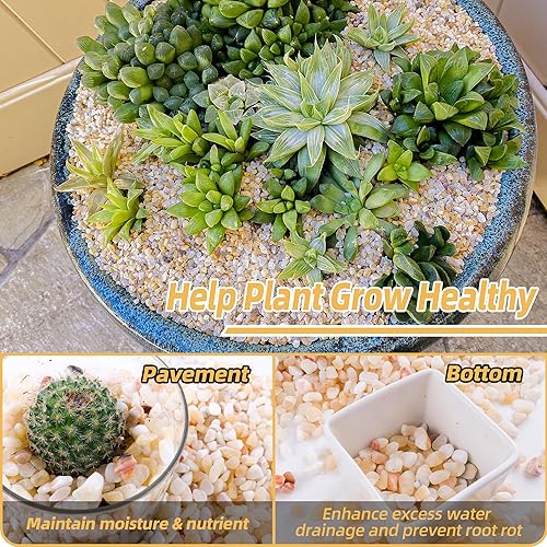 Miniatura 4 de CJGQ Grava de acuario de 2.4 libras para plantas, rocas de río decorativas al aire libre de 15 pulgadas para suculentas y cactus paisajismo, rocas