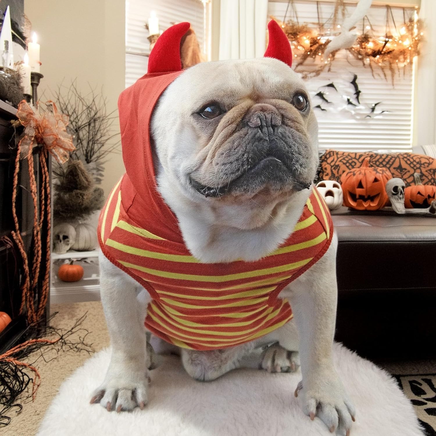 Dog Halloween Costumes Frenchie Clothes Funny Dog Costume | French Bulldog Clothes Halloween Costume, 100% Cotton, Skin-Friendly, Soft and Stretchy, Red Striped Bull Costume,L