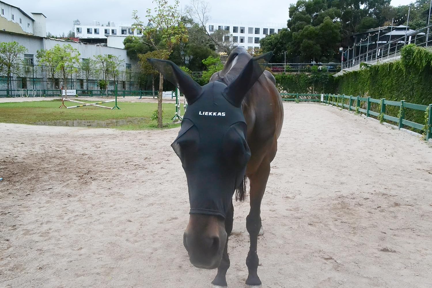 Liekkas Super Comfort Horse Fly Mask Elasticity Fly Mask with Ears UV Protection for Horse(S,Black) : Pet Supplies