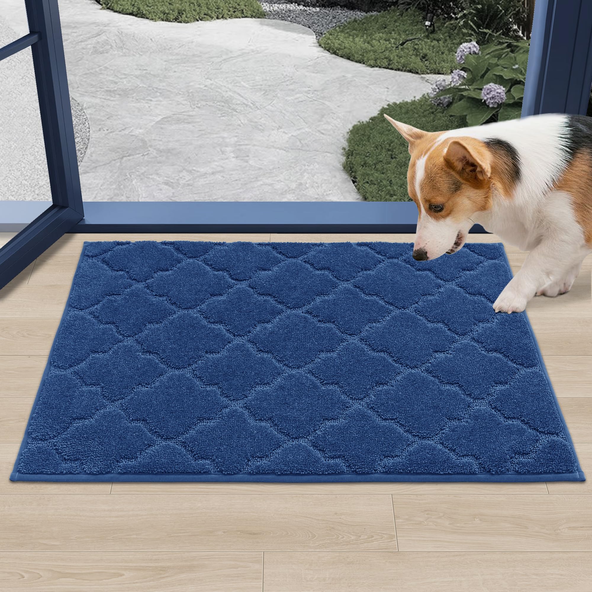 COSY HOMEER Door Mat Non-Slip Entryway Mats for Indoor Use, Absorbent Doormat for Front Door, Washable Low Profile Entrance Mat,24"x36",Blue