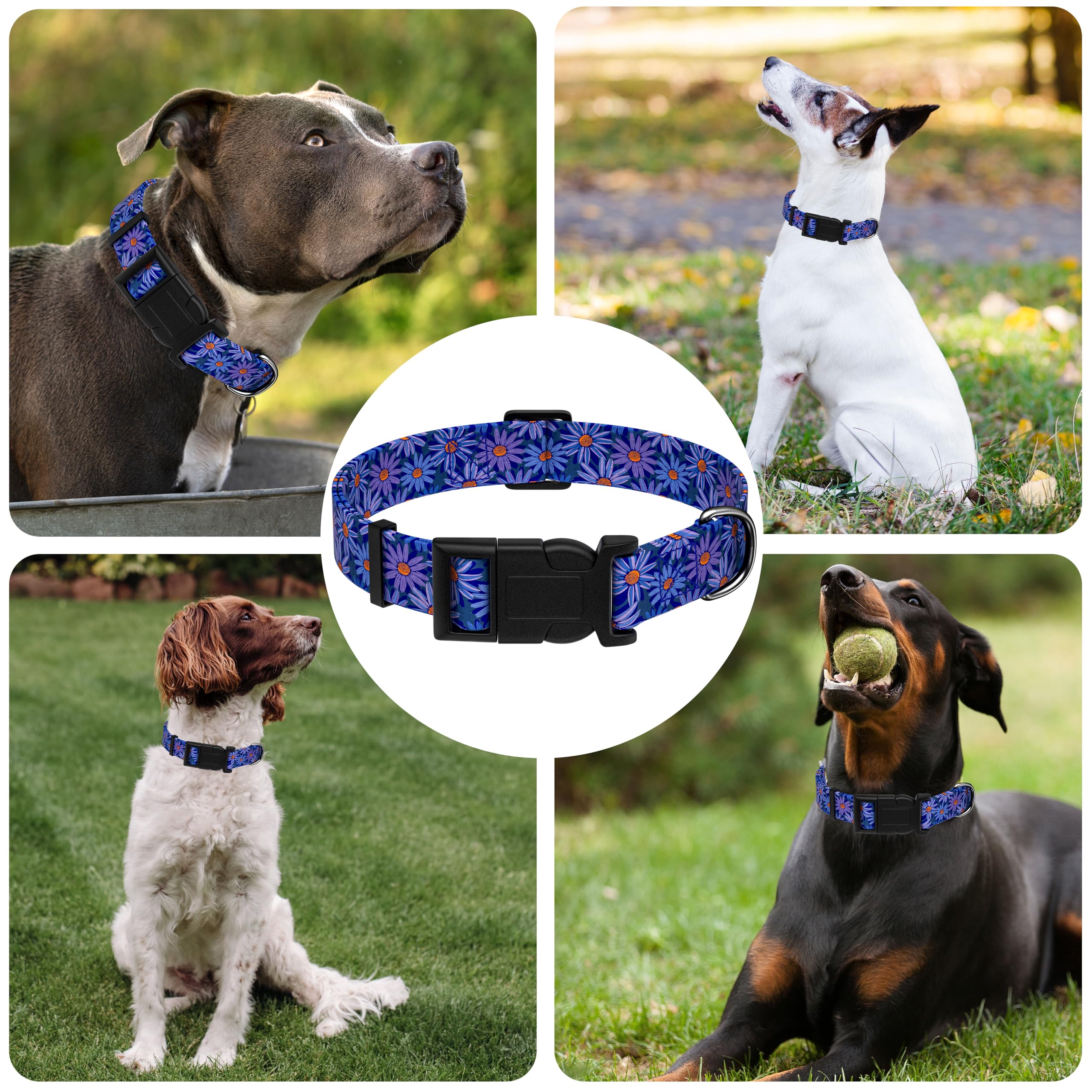 Amazon.co.jp: Seyezo 犬用首輪、クラシカルインディンスピリット