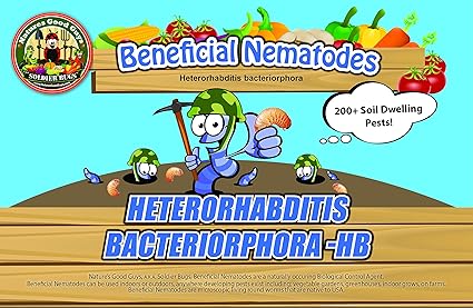 Bug Sales 25 Million Live Beneficial Nematodes Hb - Soil Pest Exterminator