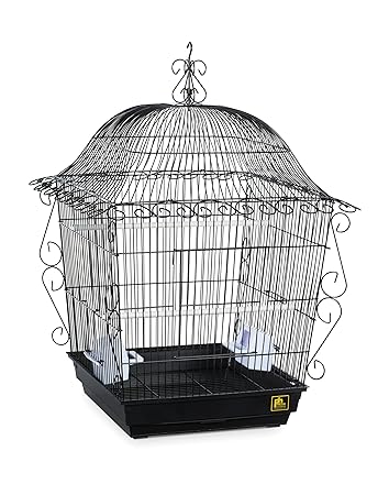 Prevue Pet Products Jumbo Scrollwork Bird Cage 220BLK Black, 18-Inch by 18-Inch by 25-Inch