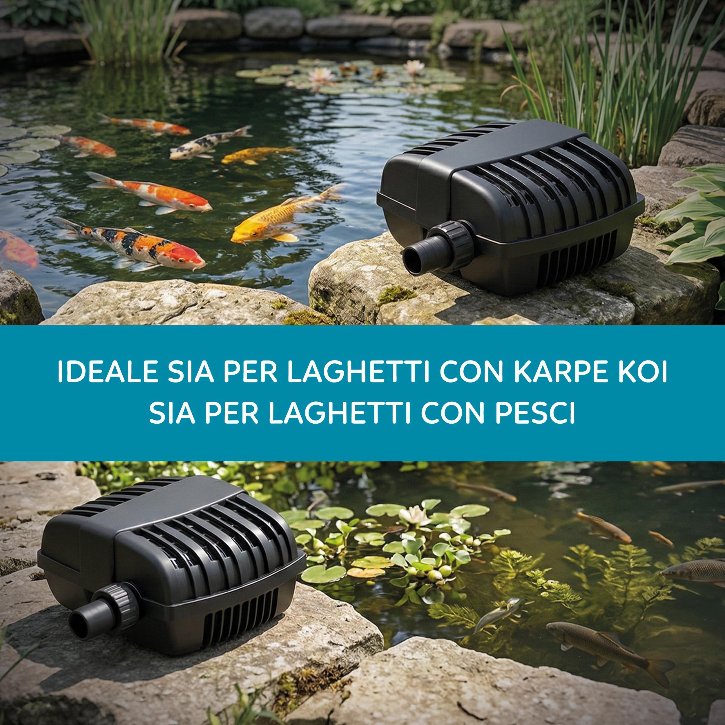 AQPOND Flux Pompa per Laghetto e Fontane da Giardino – Pompa Sommergibile ad Alta Portata per Cascate, Ruscelli e Filtri Laghetto – Design Compatto con Cavo Lungo 5 metri 3000lt/h