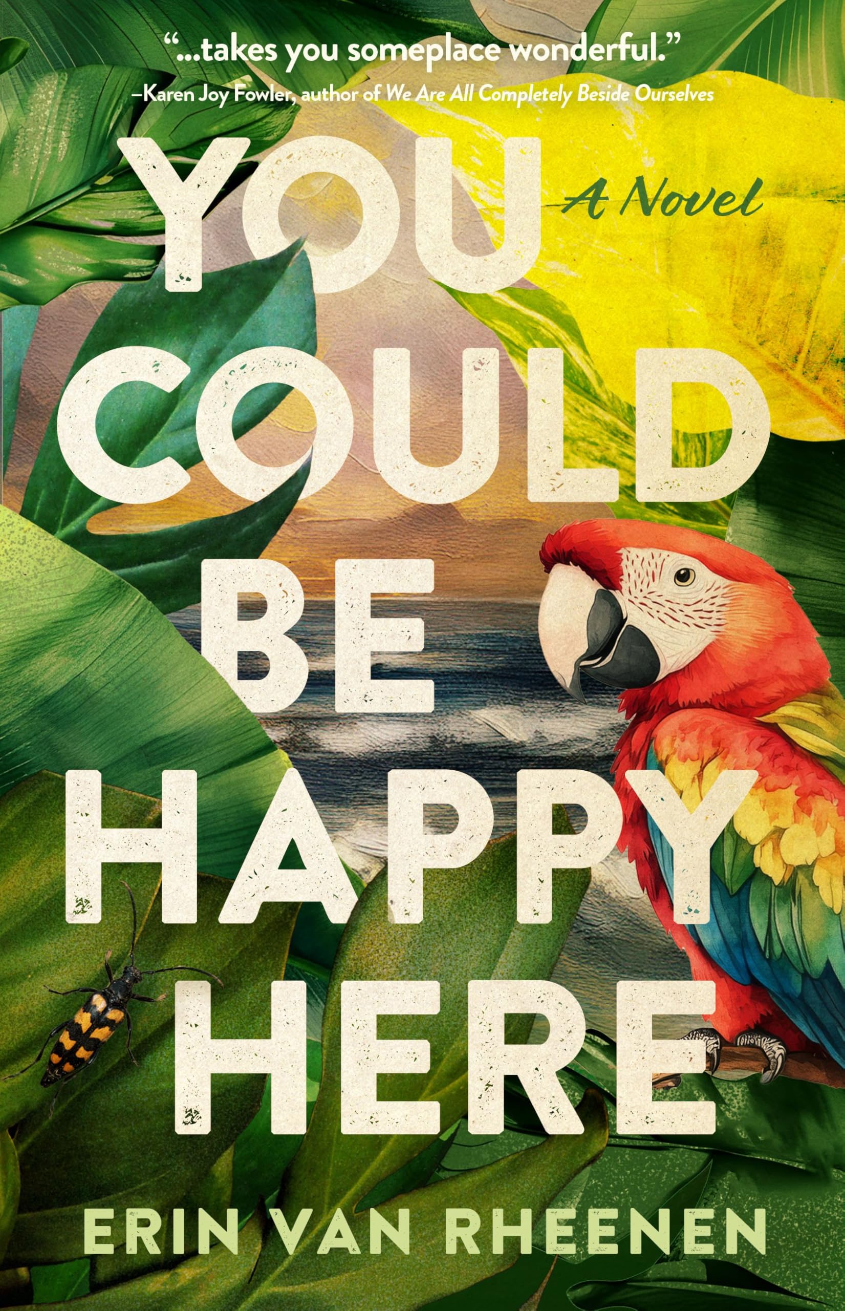 Buy You Could Be Happy Here: A Novel — BookShops.in