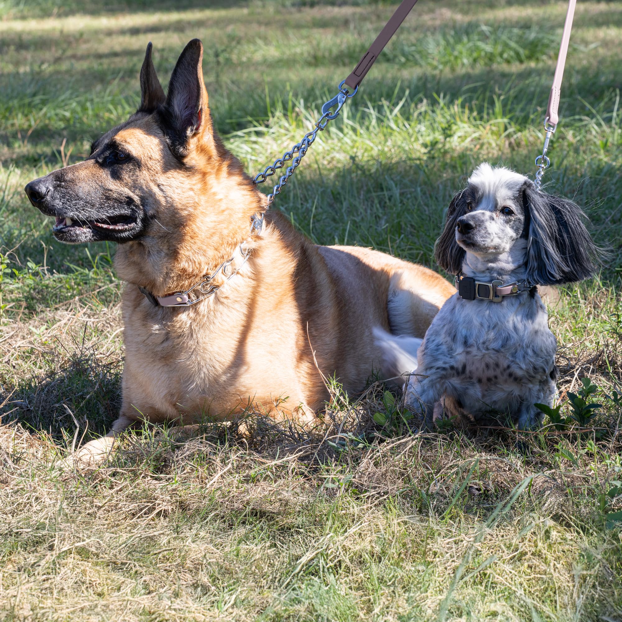 Herm Sprenger Collier de dressage pour chien en acier chromé avec boucle ClicLock à dégagement rapide et insert en biothane, fabriqué en Allemagne (violet pastel, 58,4 x 3,2 mm (pour un tour de cou
