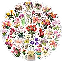 Vista 29 de BulbaCraft 100 piezas de pegatinas de cantantes country - Mercancía de música country, pegatinas impermeables de música para fundas de teléfono