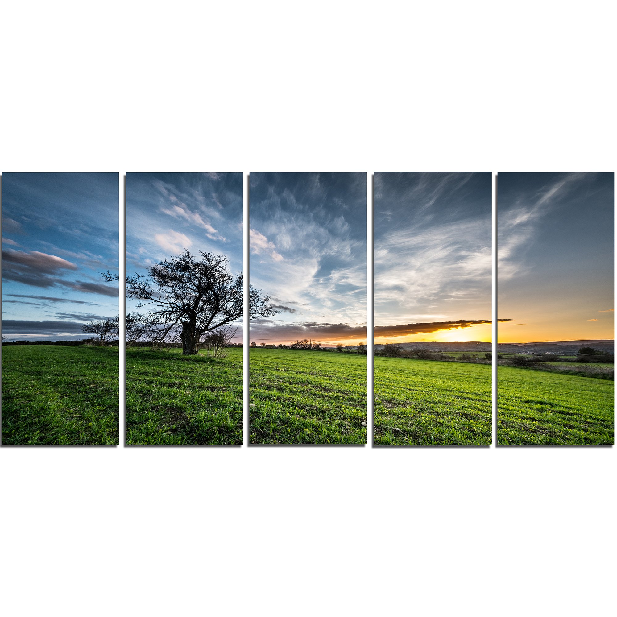 Designart PT14306-60-28-5PE Green Grass Field in Sardinia-Landscape Wall Artwork Canvas, 28'' H x 60'' W x 1'' D 5PE