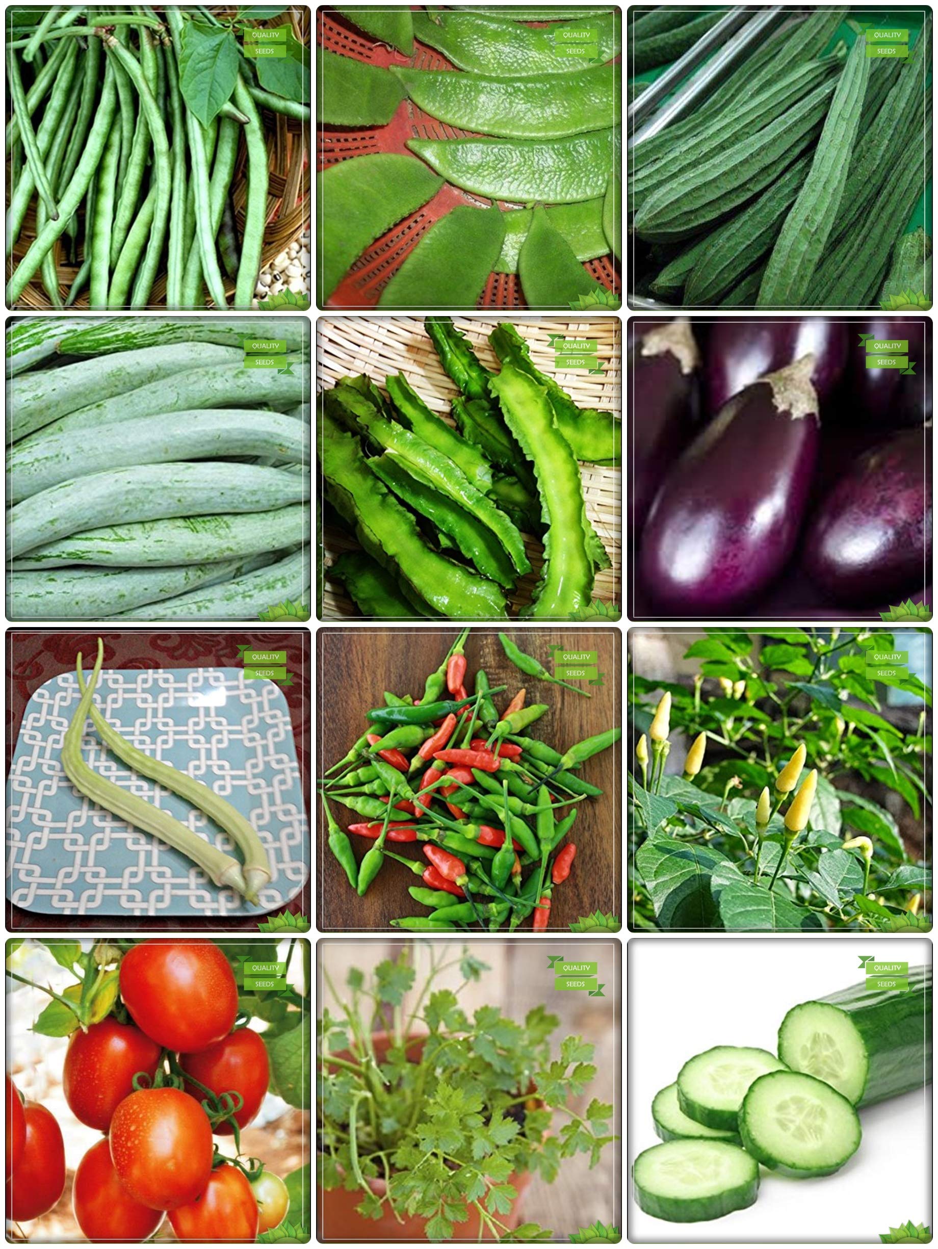 Creative Farmer Bonsai Suitable Seeds Combo Vegetable Seeds : Cowpea (Vj ), Dolichus Beans (Grace), Ridgegourd, Snakegourd, Winged Bean(Revathy), Brinjal, Elephent Tusk Okra Seeds Vegetable Seeds, Bird Chilli -Red, Bird Chilli -White, Tomato - Money  (B07HTS1QQP) Amazon Price History, Amazon Price Tracker