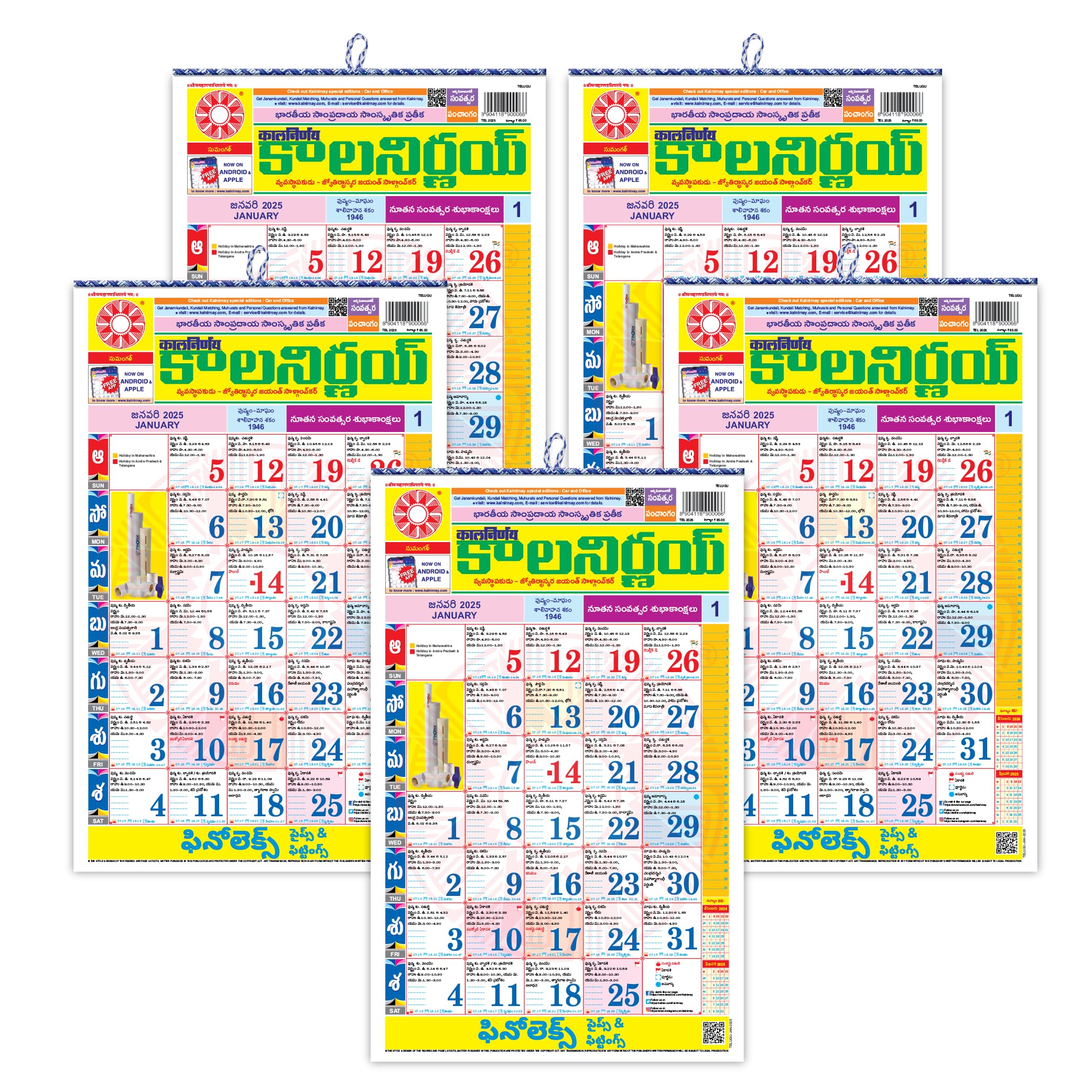 English Monthly Wall Calendar | 2025 | 5 Pack | Large Size Approx 17"x11"
